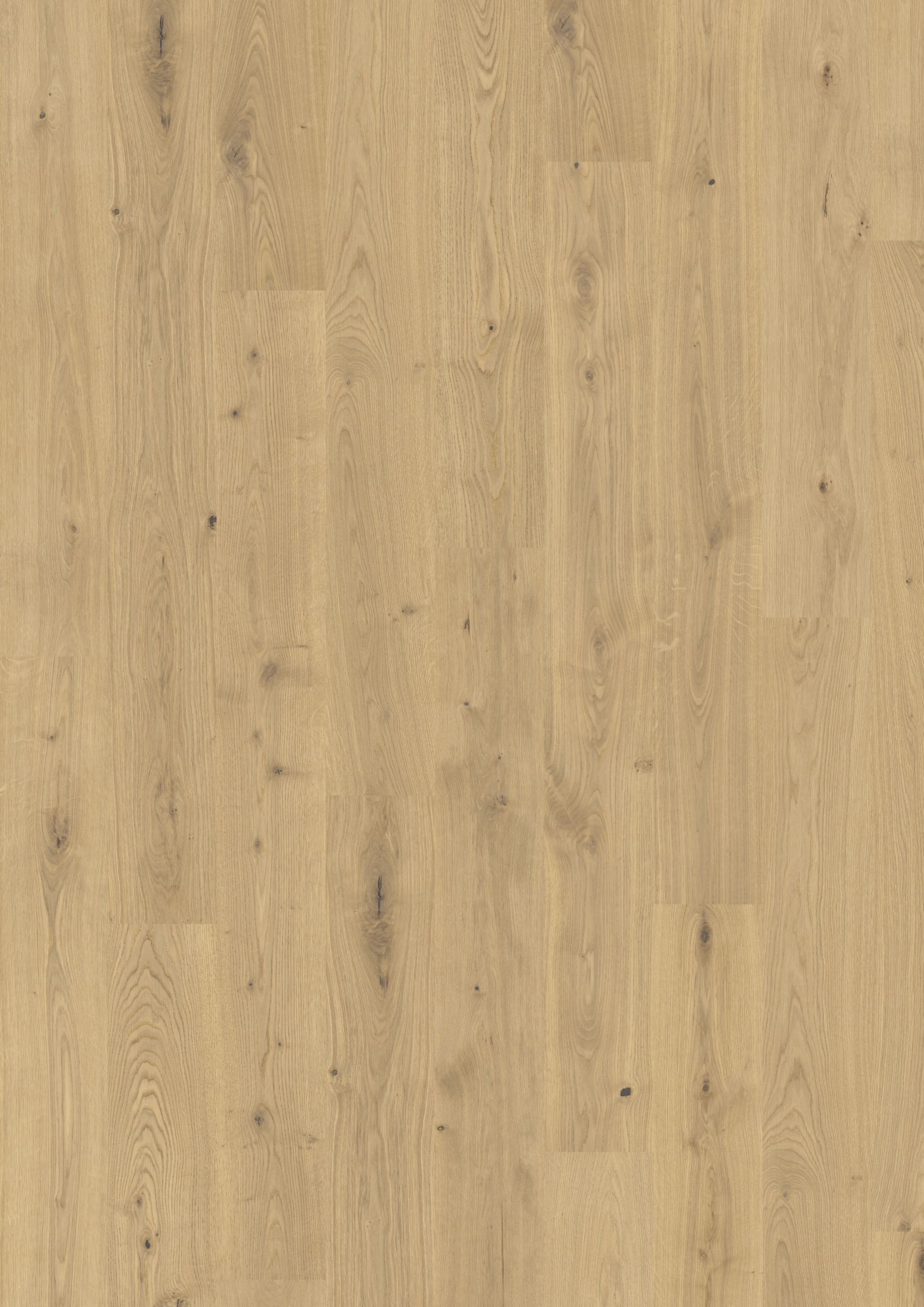 Browse products for category Natural composites