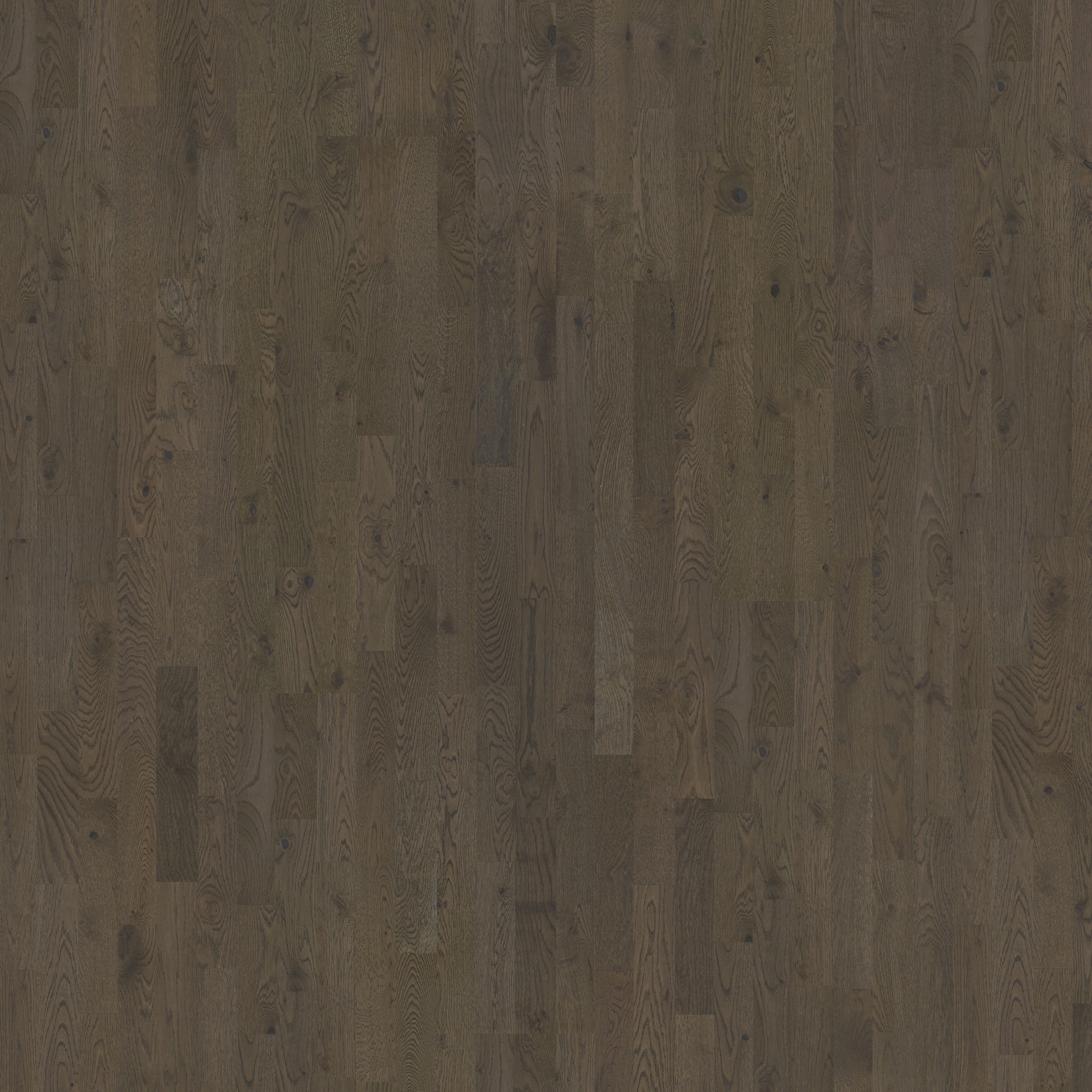 Display product Beyond Retro | Oak Charcoal Light Strip from manufacturer Kährs