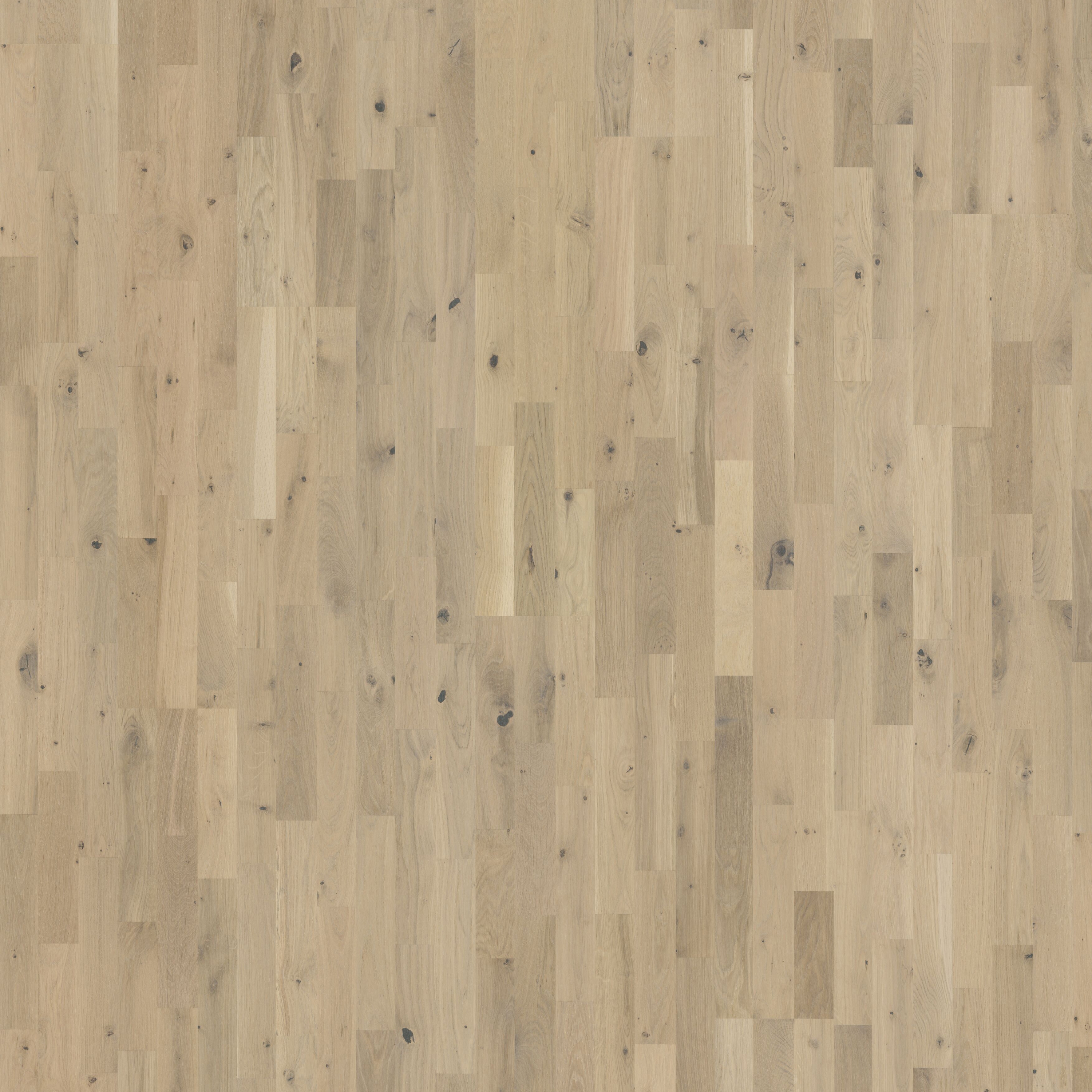 Display product Beyond Retro | Oak Frosted Oat Strip from manufacturer Kährs