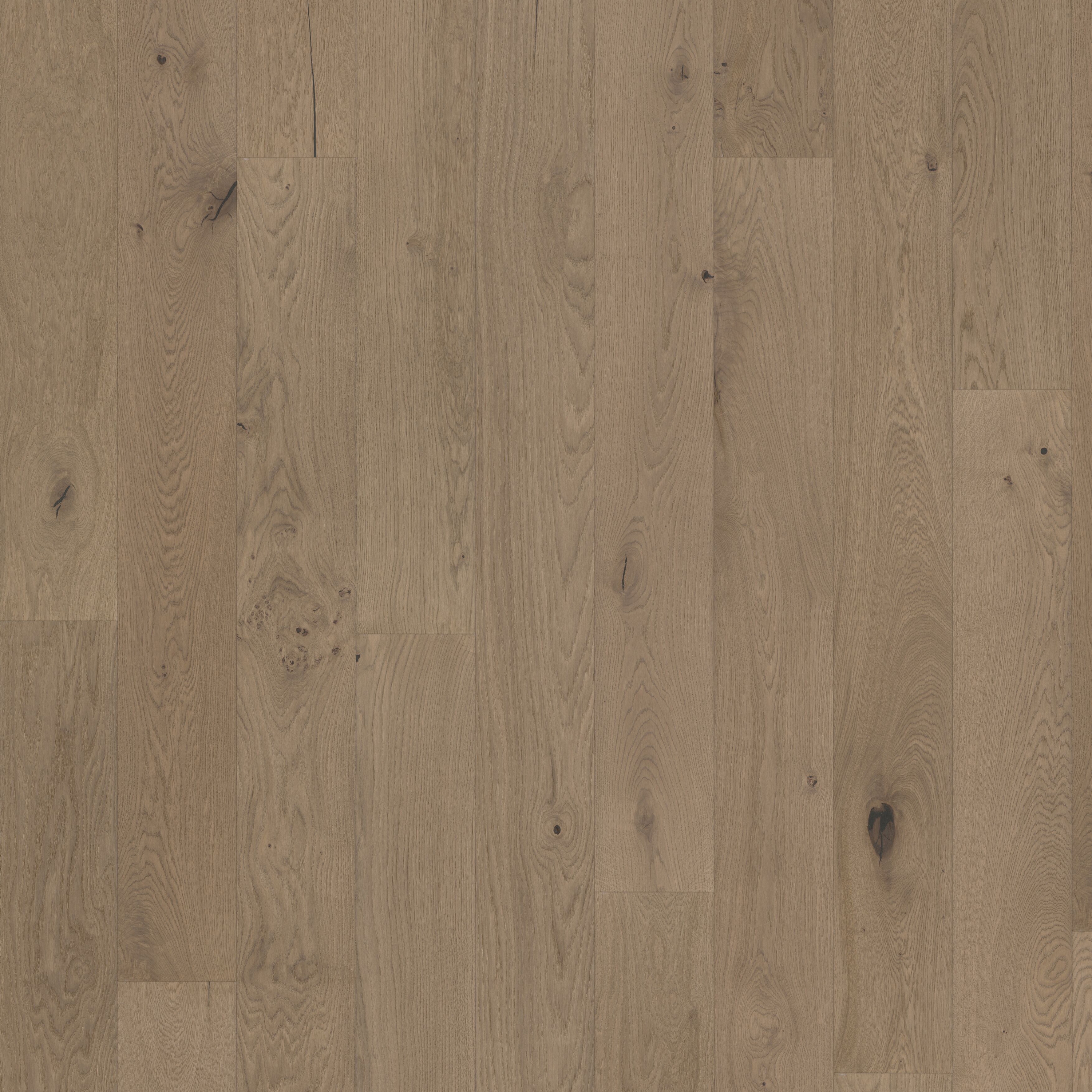 Display product Beyond Retro | Oak Frozen Hazelnut Plank from manufacturer Kährs