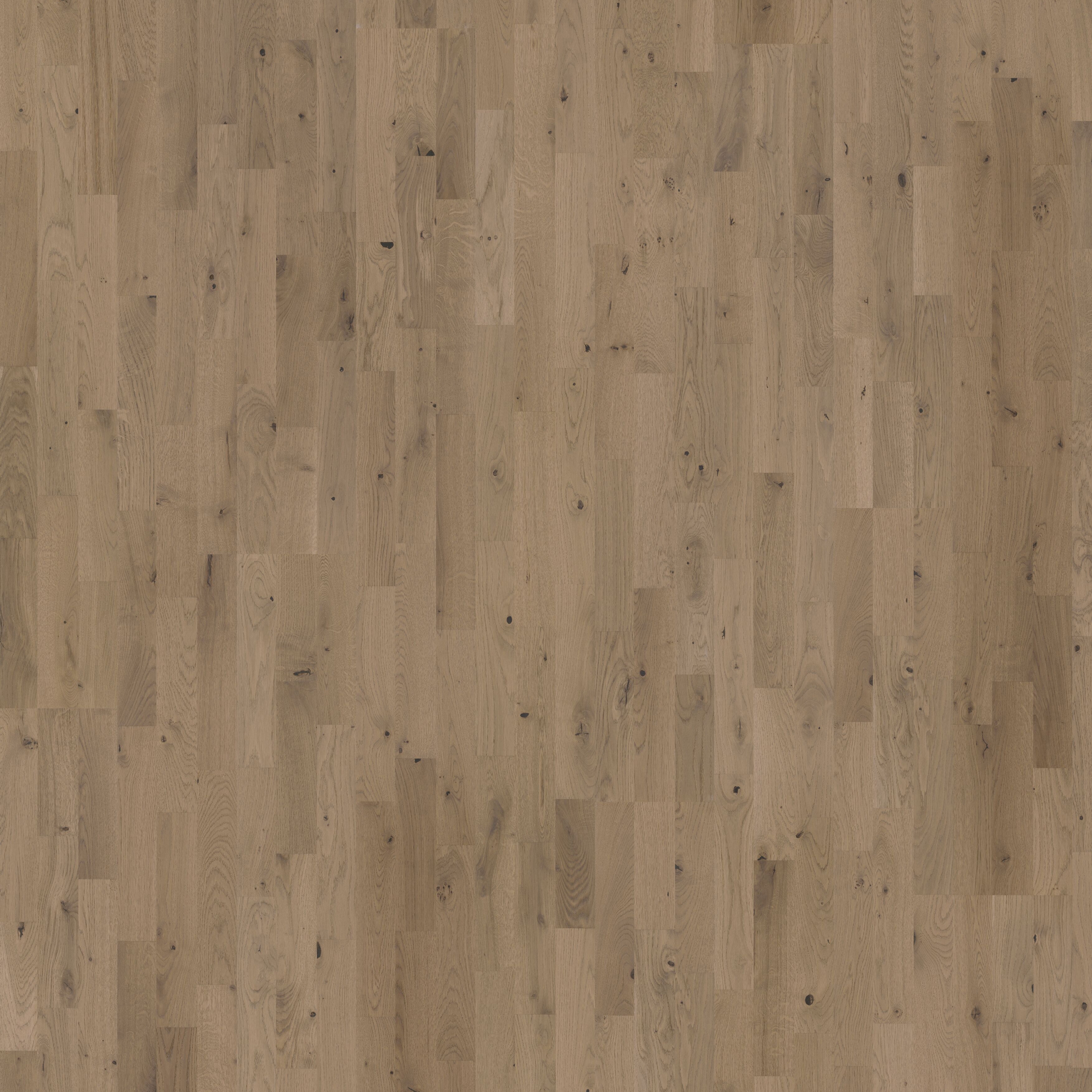 Display product Beyond Retro | Oak Frozen Hazelnut Strip from manufacturer Kährs