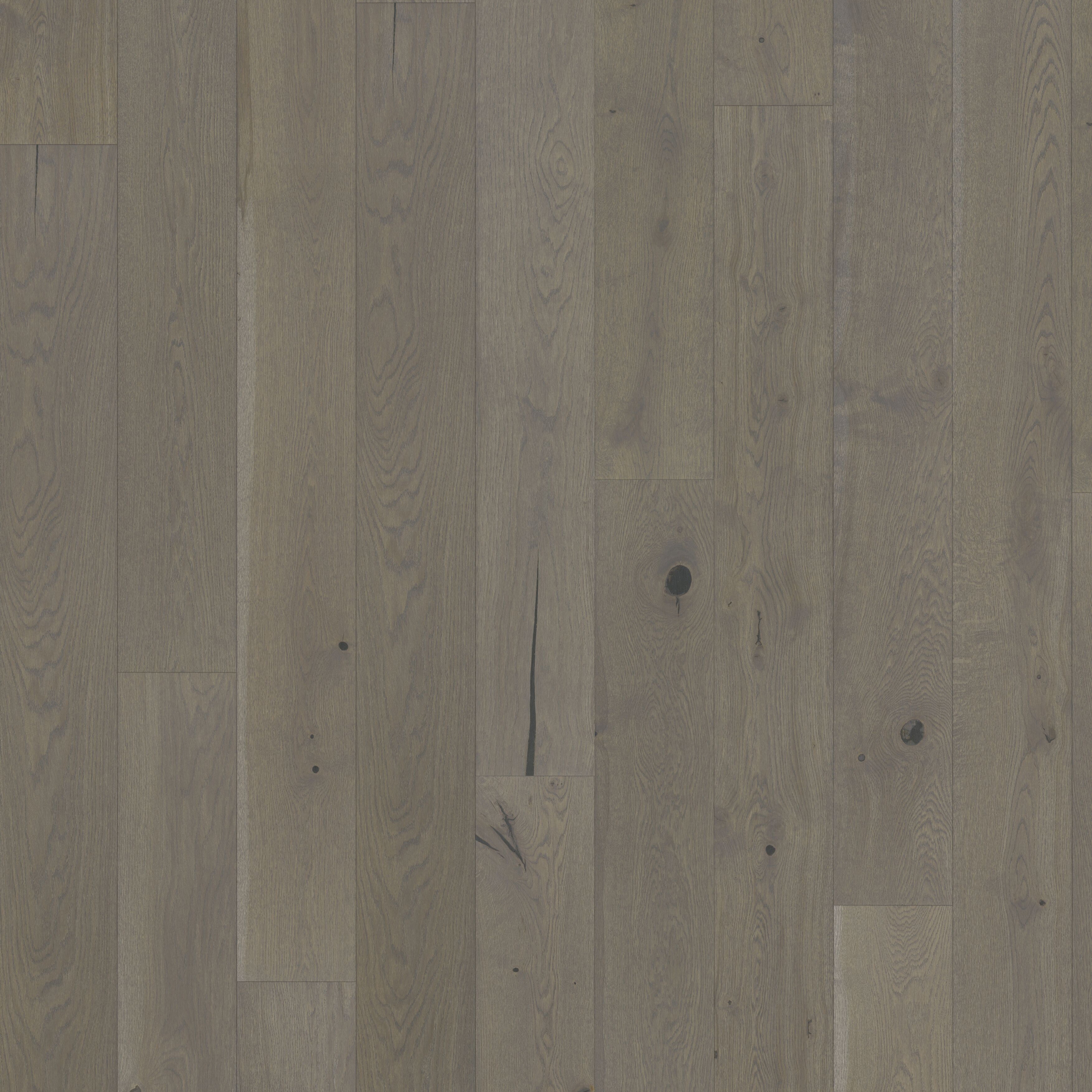 Display product Beyond Retro | Oak Pearl Grey Plank from manufacturer Kährs
