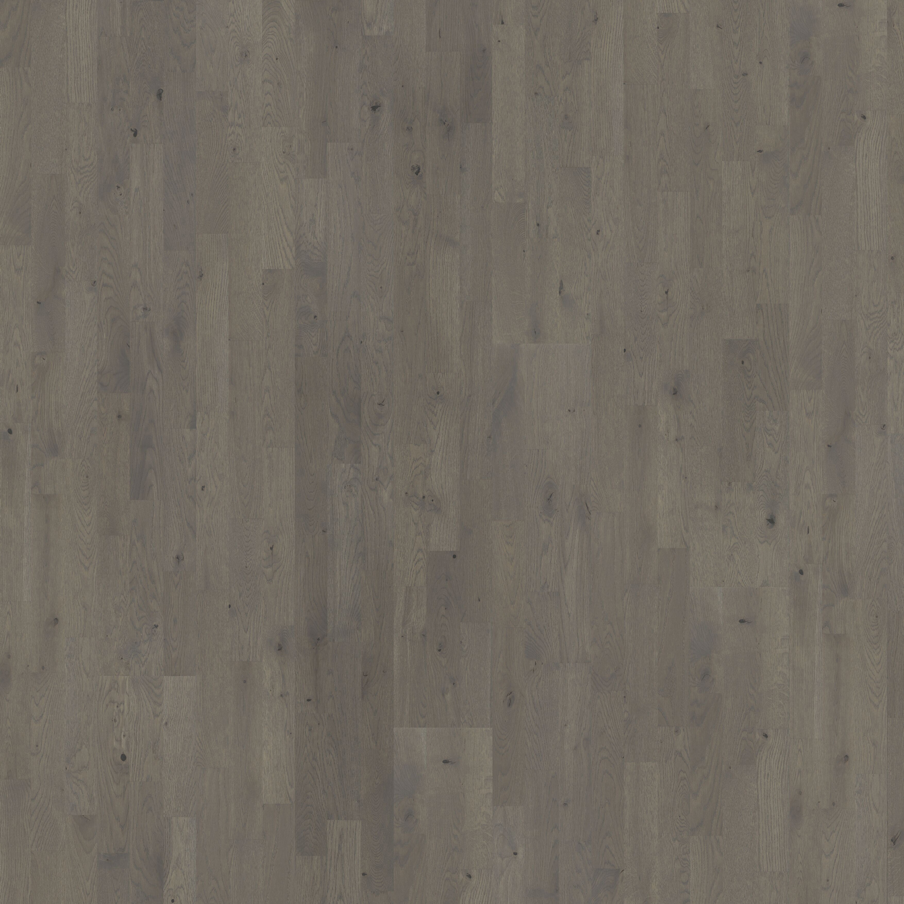 Display product Beyond Retro | Oak Pearl Grey Strip from manufacturer Kährs