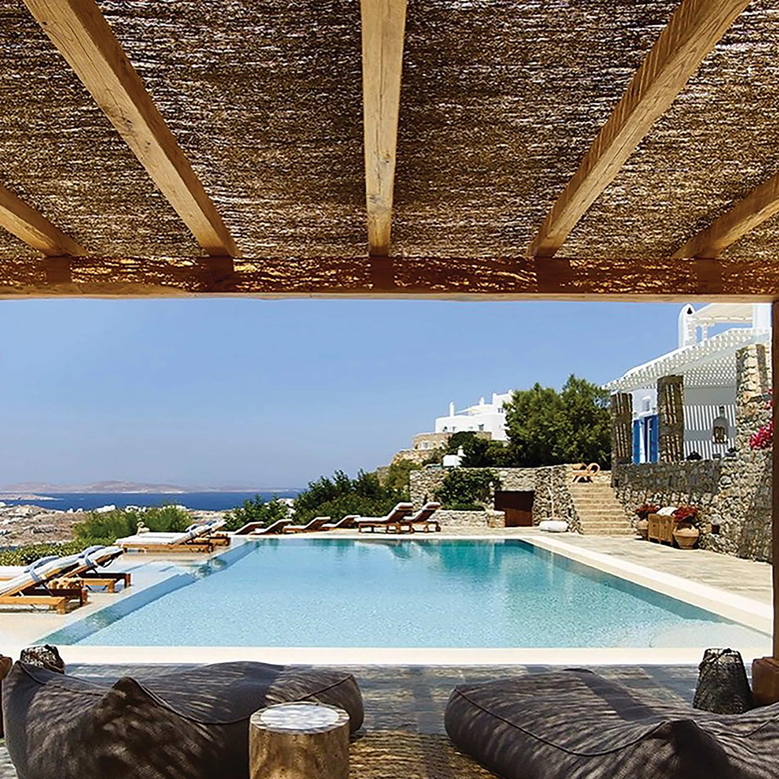 Caneplexus - Branches | Thach