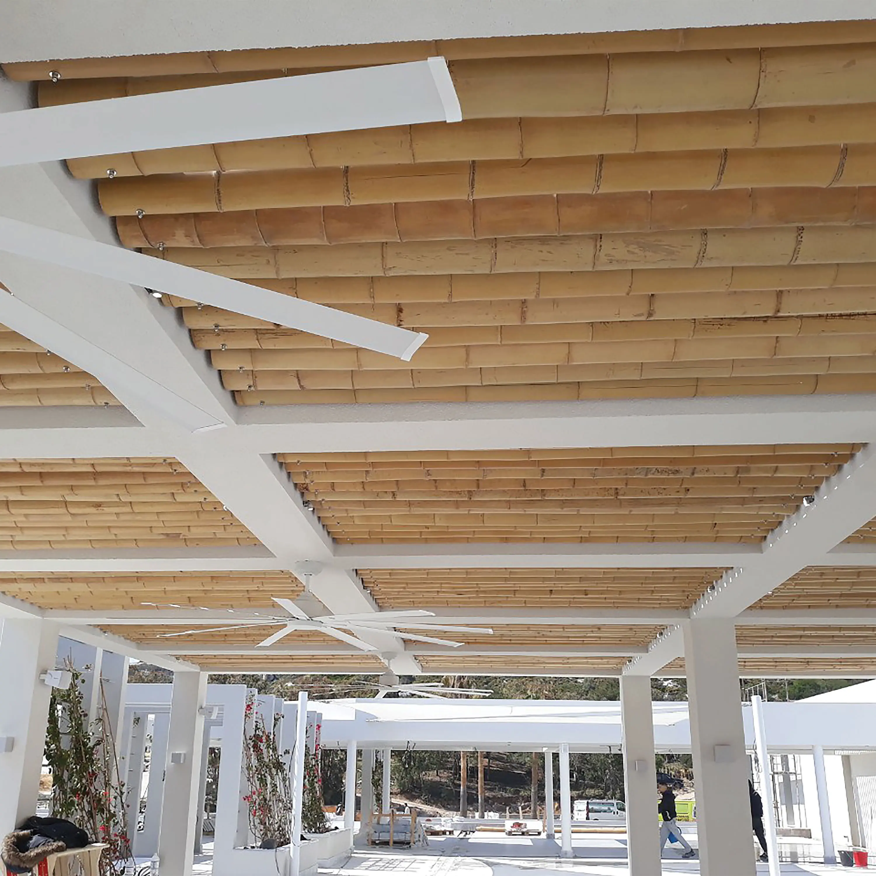 Caneplexus - Poles | Gelam Wood