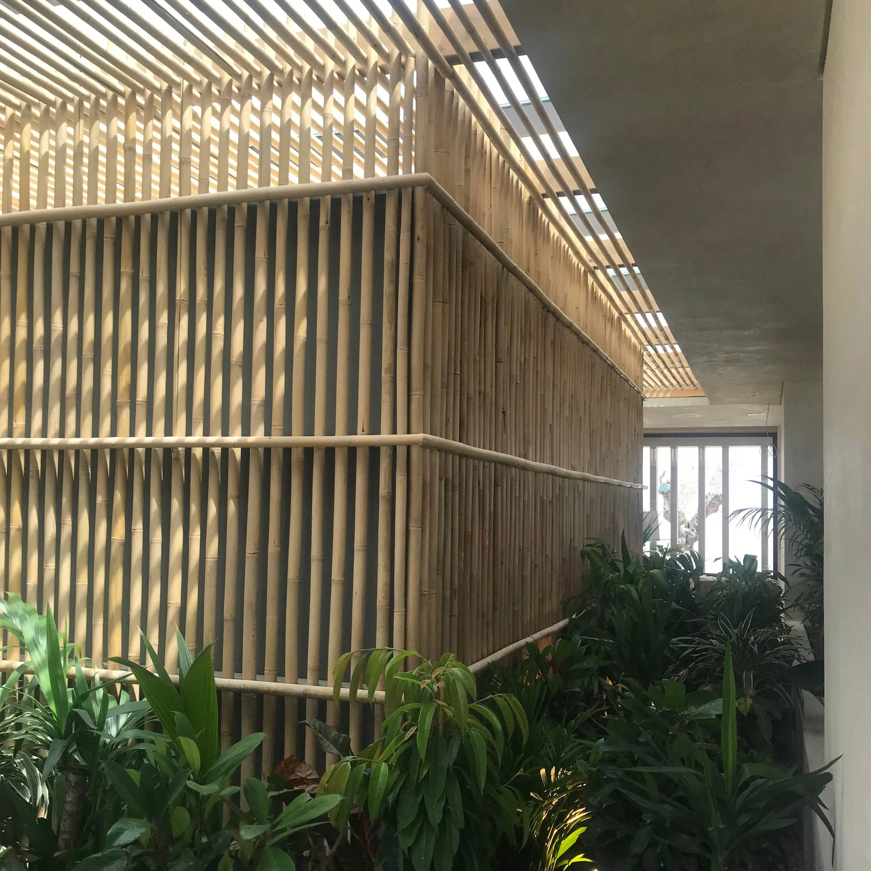 Caneplexus - Poles | Gelam Wood