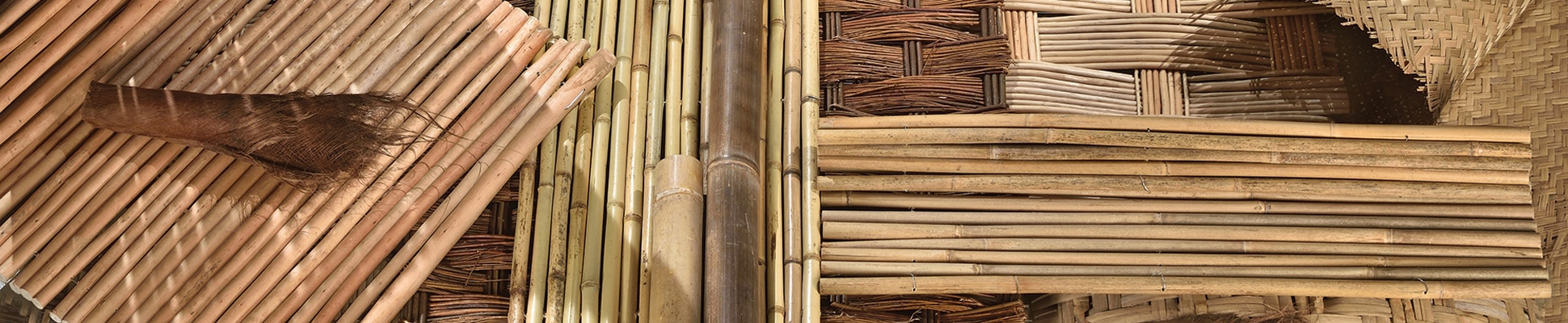 Discover the world of manufacturer Caneplexus