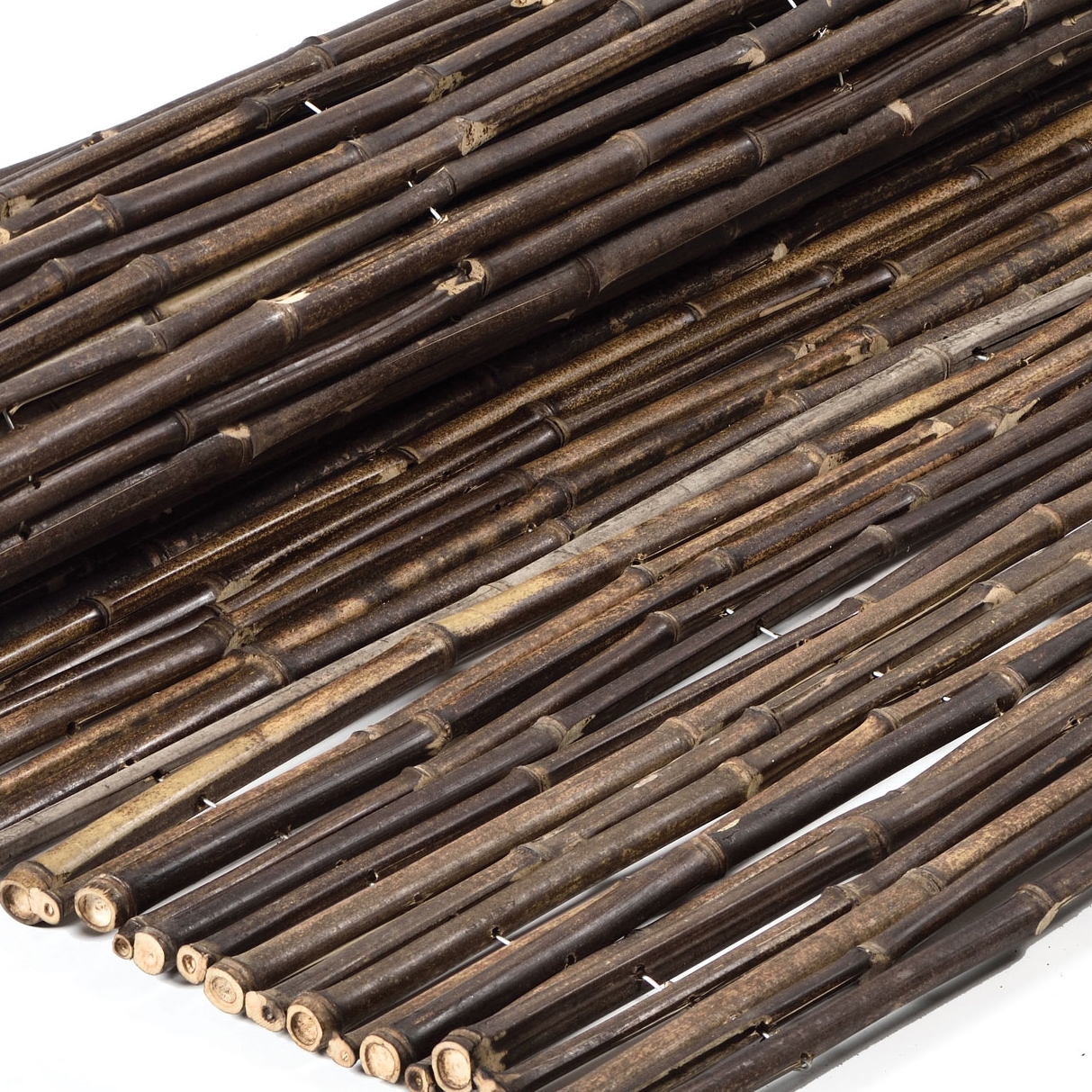 Bamboos | Mahogany bamboo 12-16mm