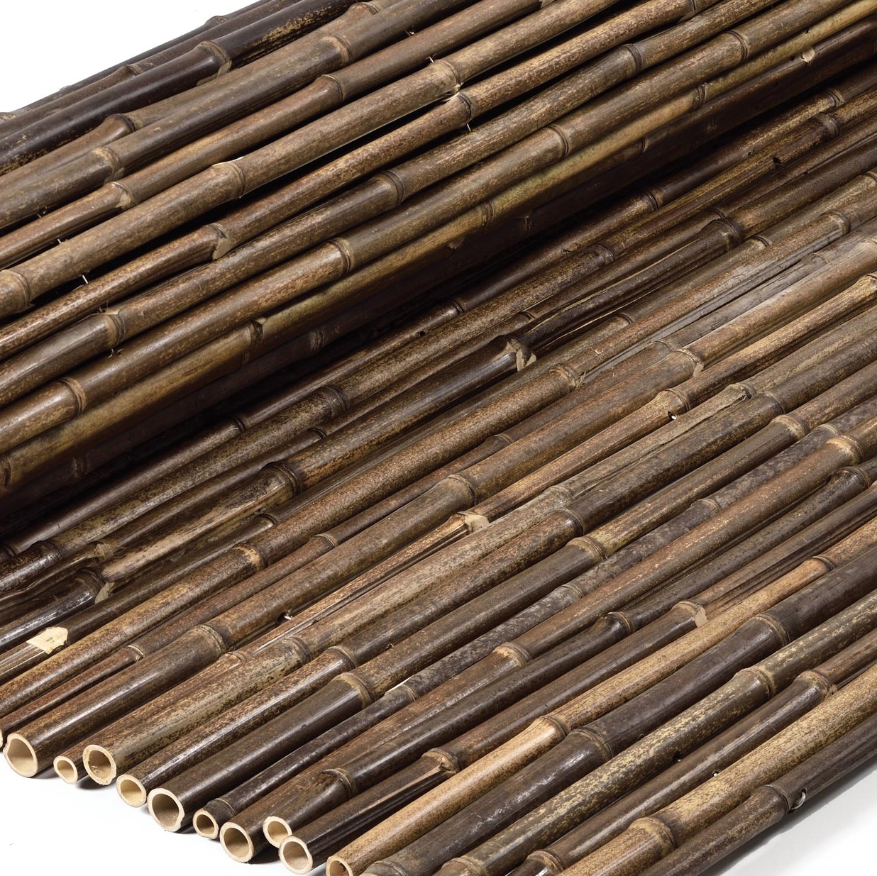 Display product Bamboos | Mahogany bamboo 20-25mm from manufacturer Caneplexus
