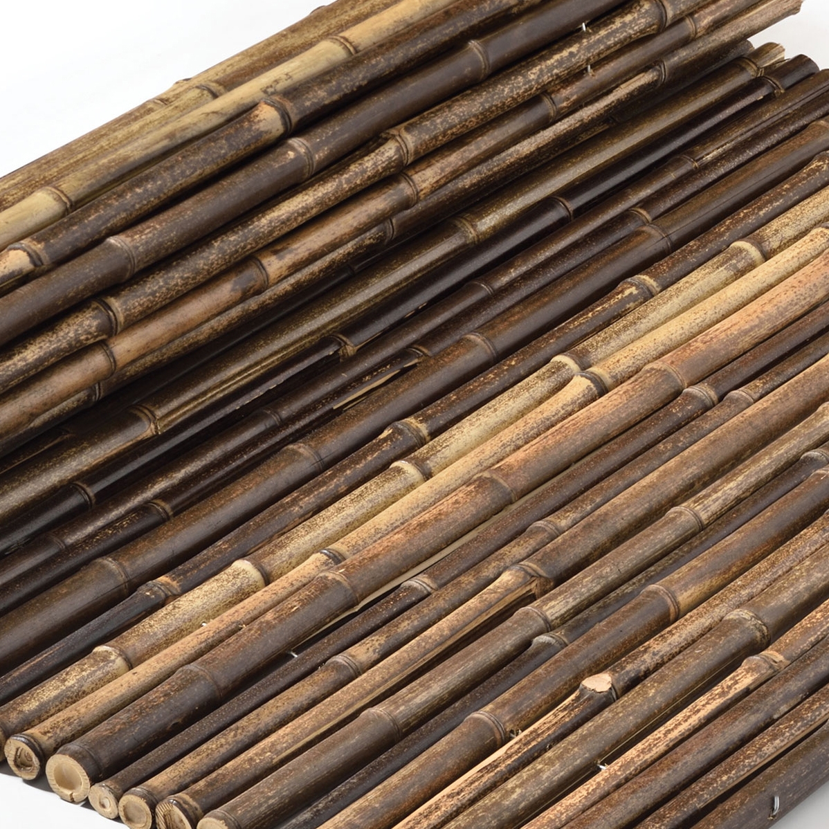 Display product Bamboos | Mahogany bamboo 24-30mm from manufacturer Caneplexus