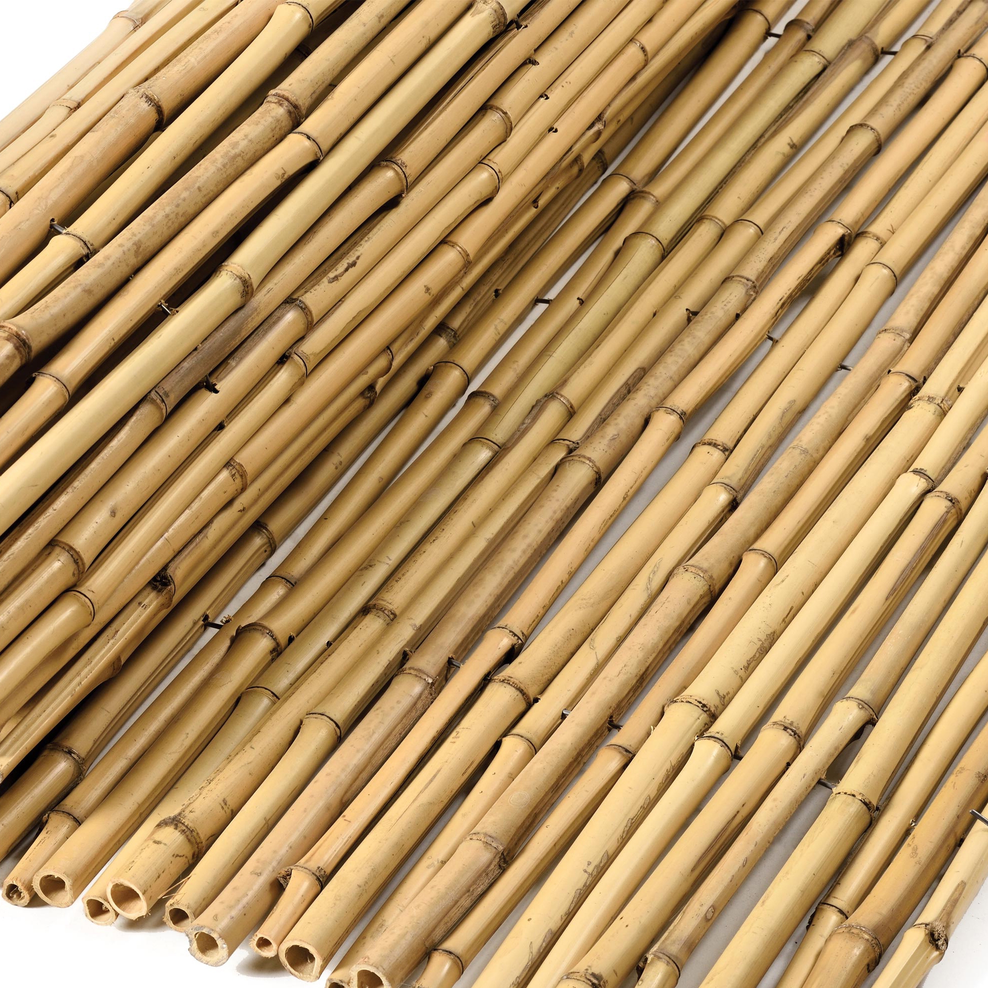 Mostrar el producto Bamboos | Natural bamboo 12-16mm "white quality" del fabricante Caneplexus
