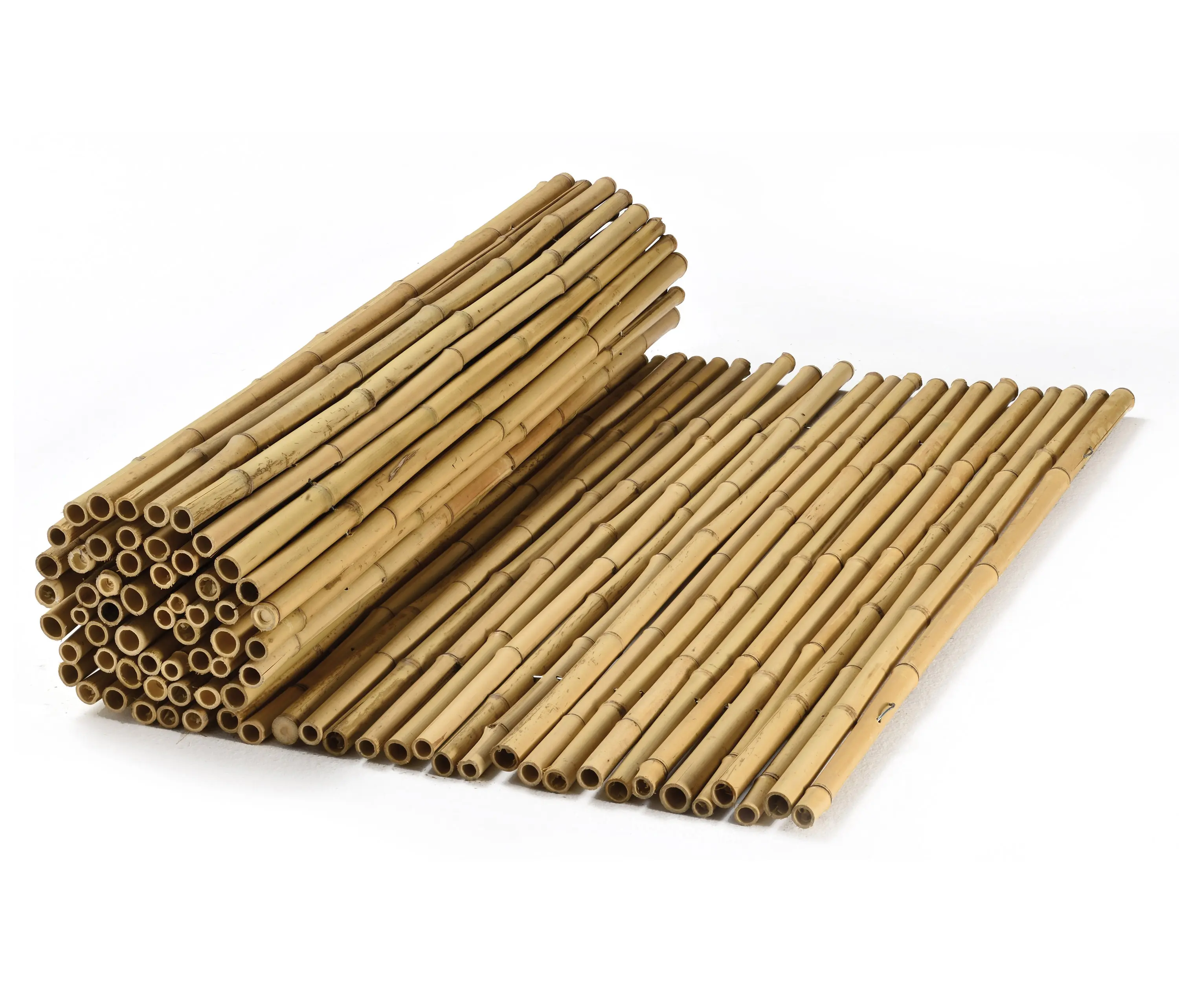Caneplexus - Bamboos | Natural bamboo 16-22mm "white quality"