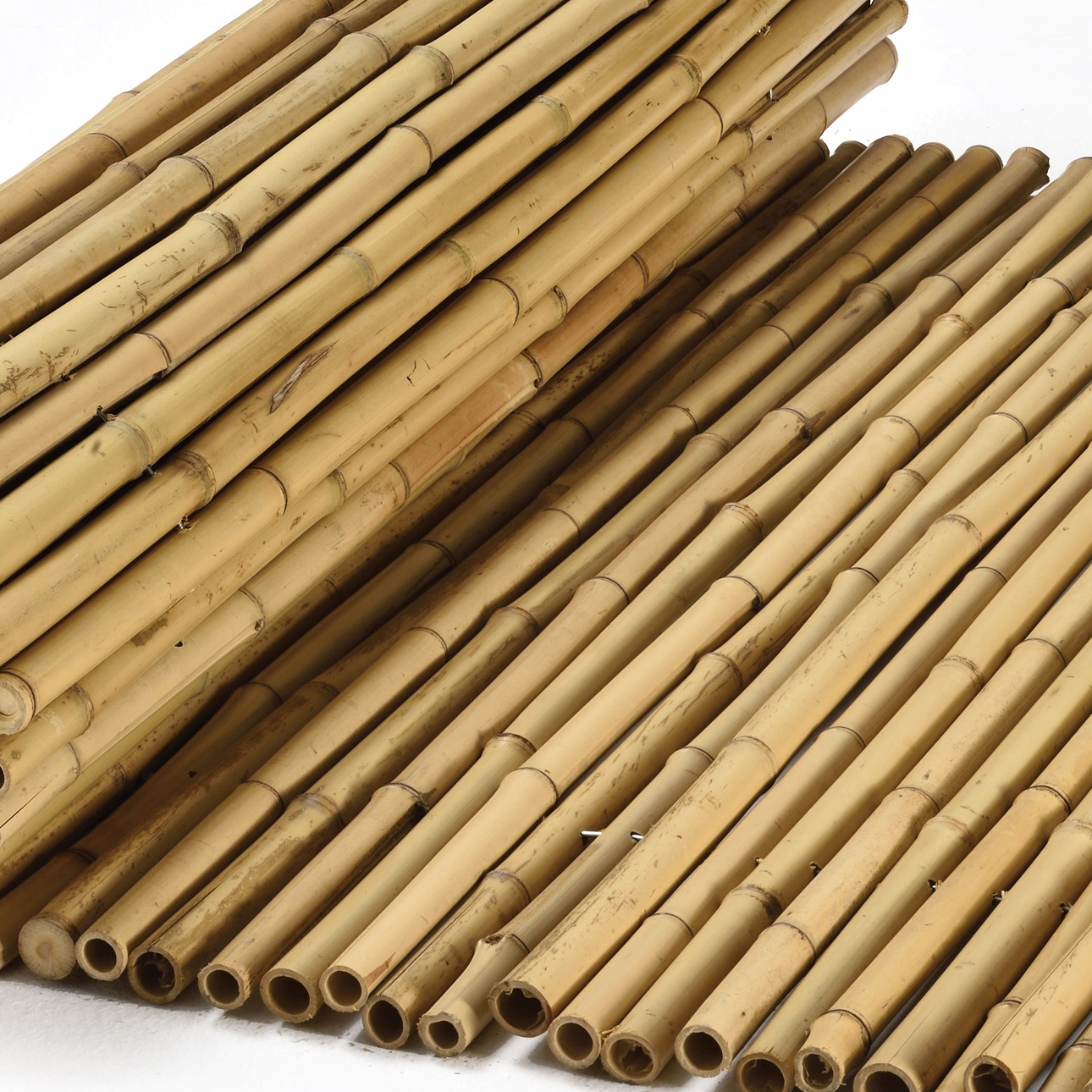 Mostrar el producto Bamboos | Natural bamboo 16-22mm "white quality" del fabricante Caneplexus