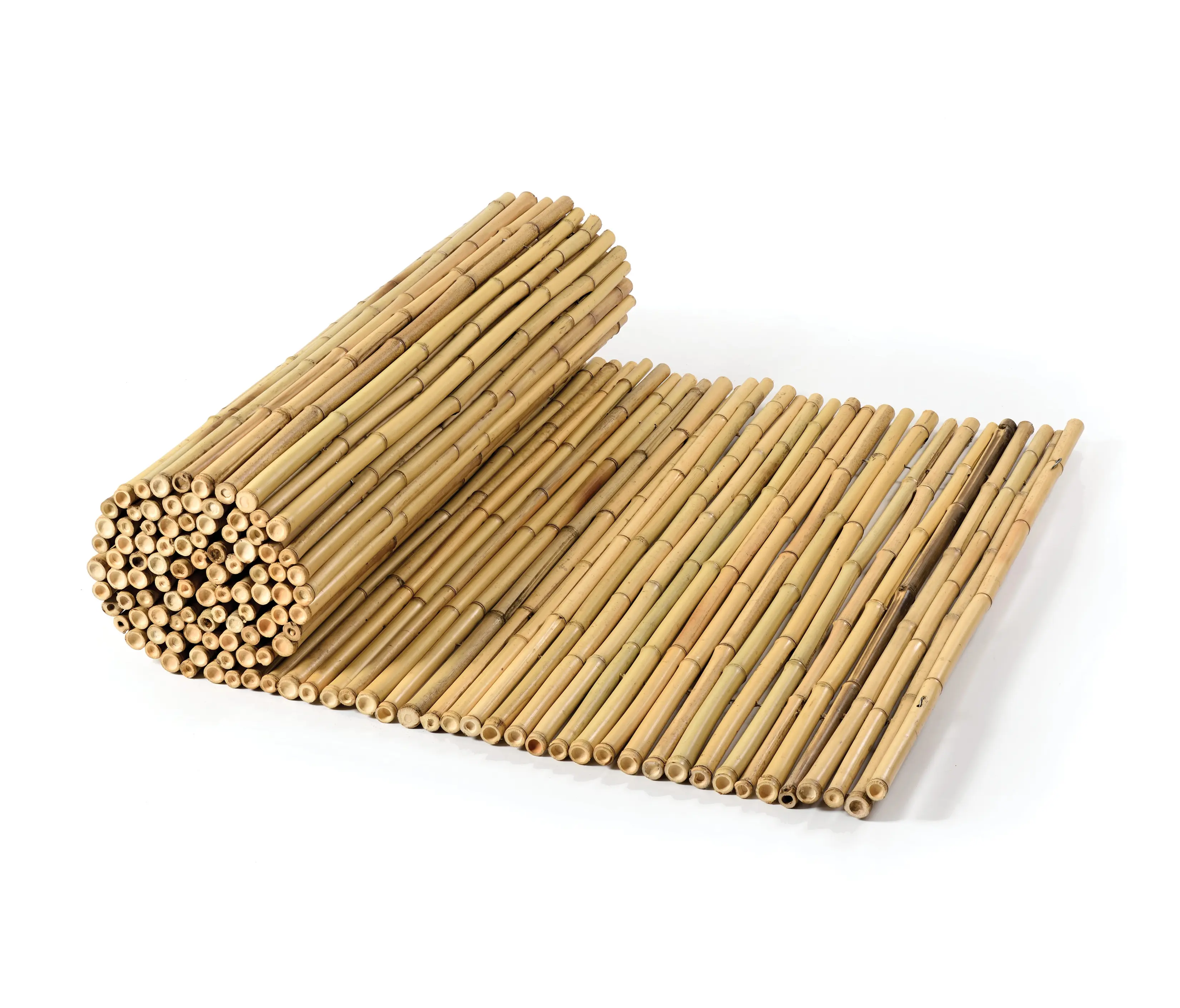 Caneplexus - Bamboos | Natural bamboo 20-24mm "white quality"