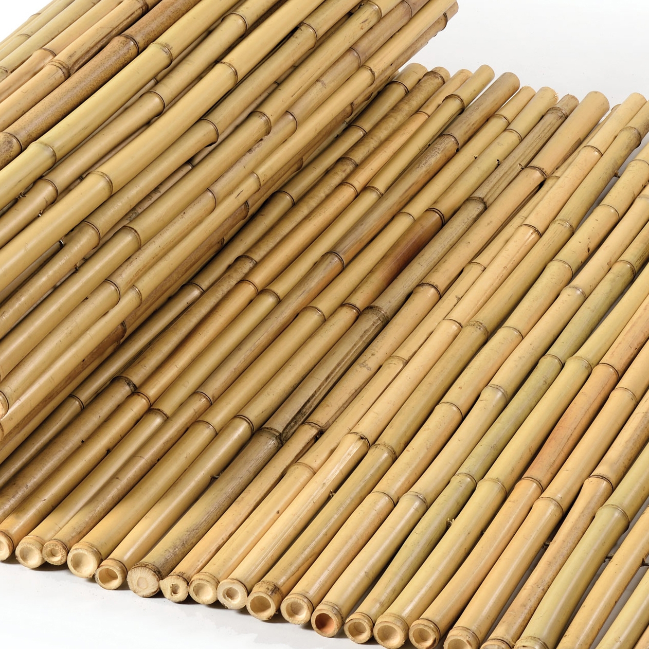 Mostrar el producto Bamboos | Natural bamboo 20-24mm "white quality" del fabricante Caneplexus
