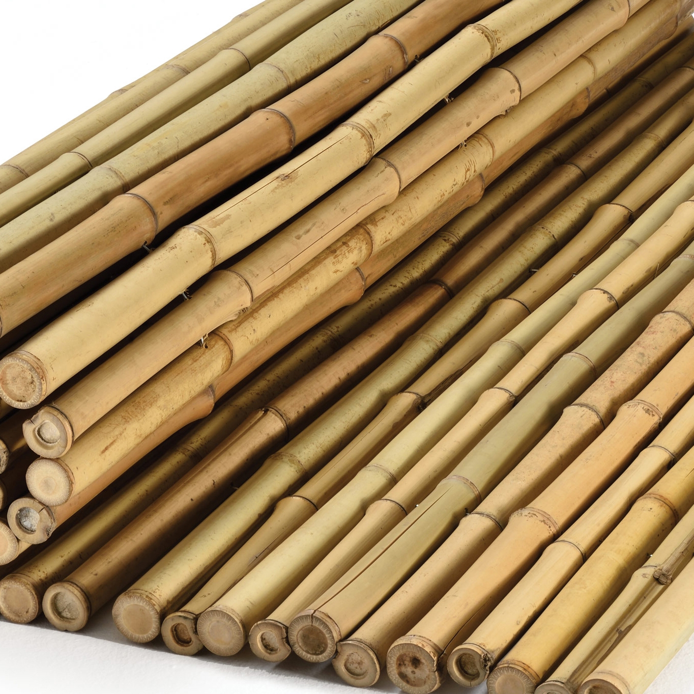 Mostrar el producto Bamboos | Natural bamboo 24-28mm "white quality" del fabricante Caneplexus
