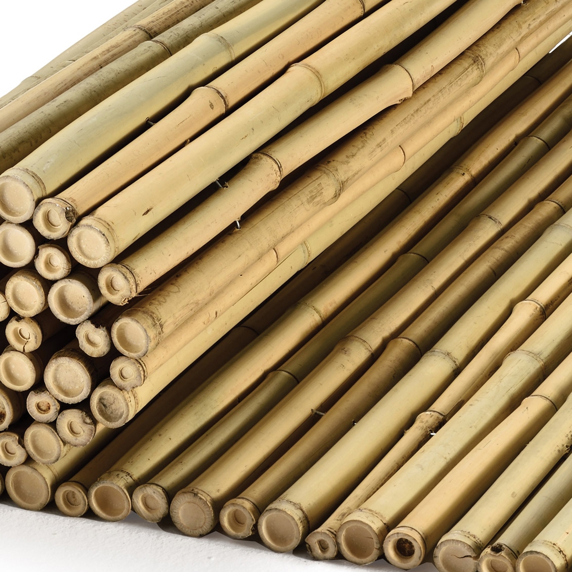 Mostrar el producto Bamboos | Natural bamboo 30-35mm "white quality" del fabricante Caneplexus