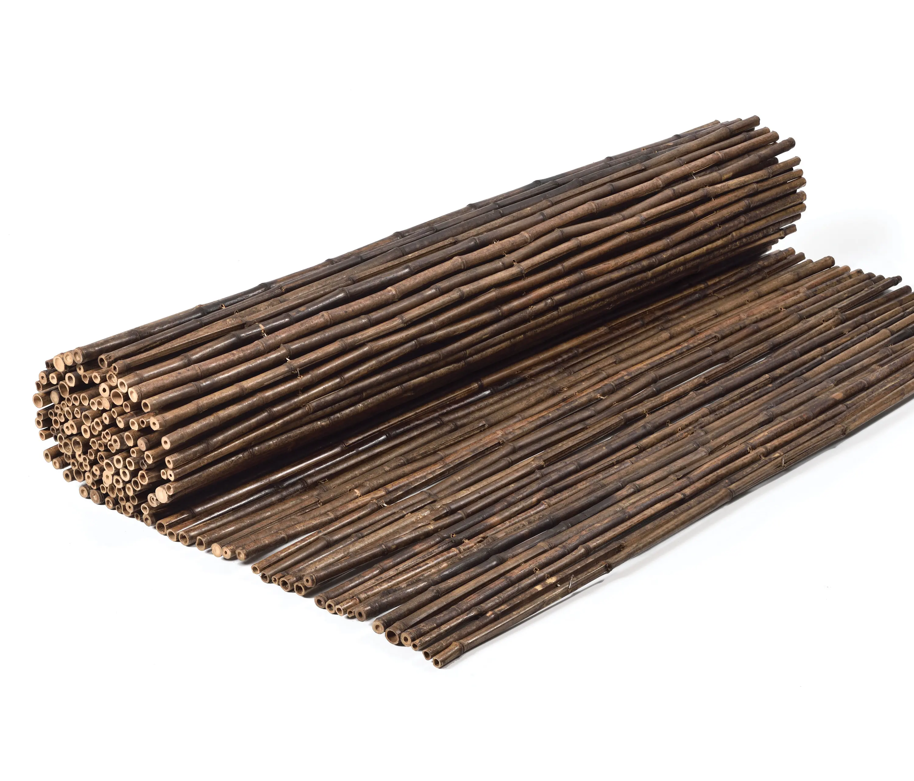 Caneplexus - Bamboos | Bamboo Nigra 12-16mm