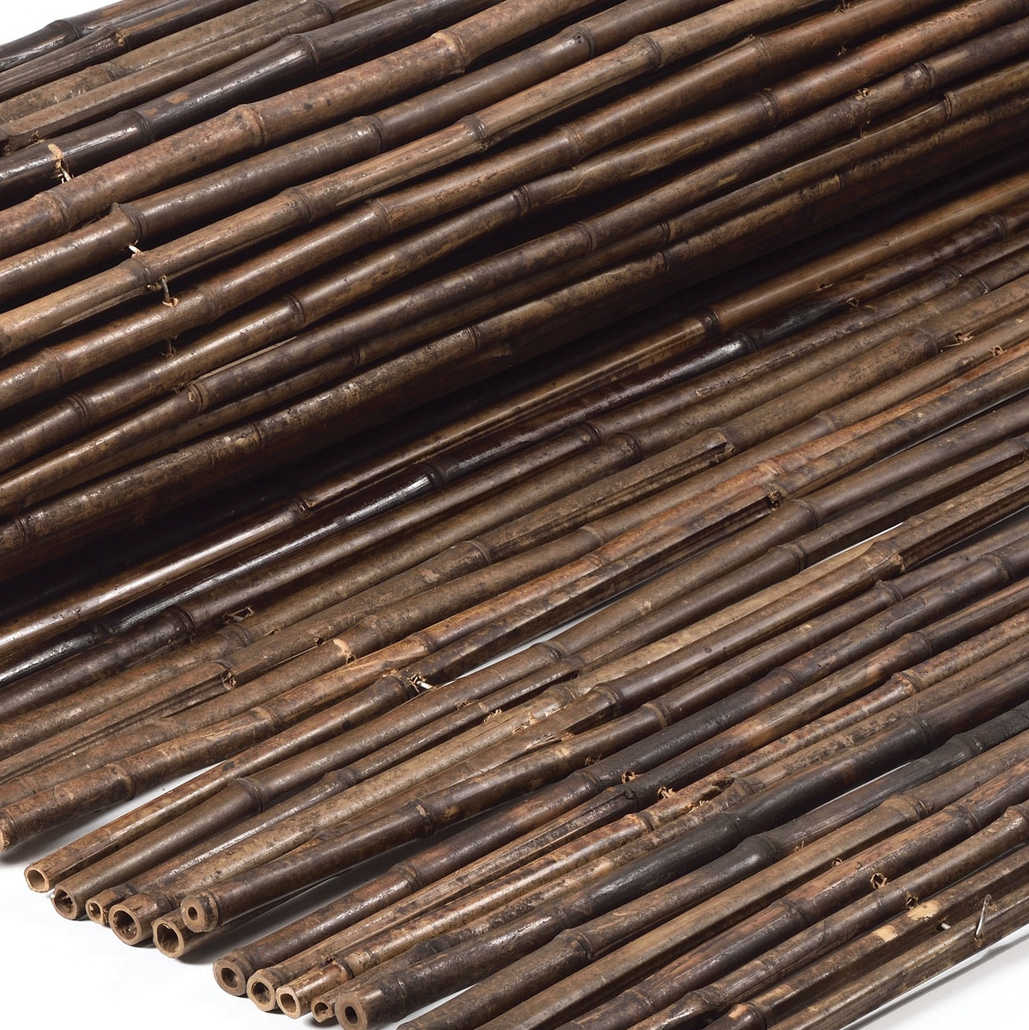 Display product Bamboos | Bamboo Nigra 12-16mm from manufacturer Caneplexus