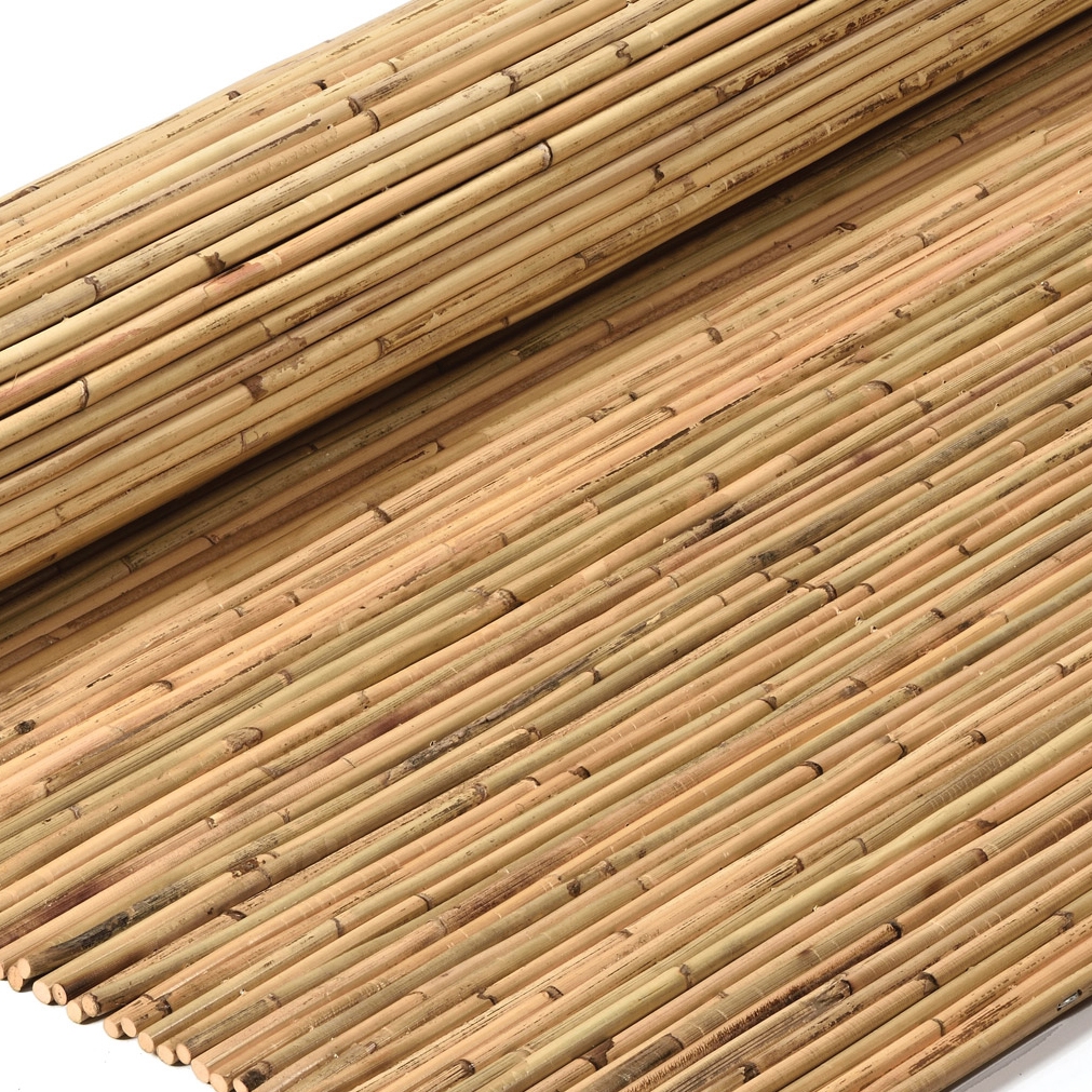 Display product Bamboos | Rattan Bamboo 12-14mm from manufacturer Caneplexus