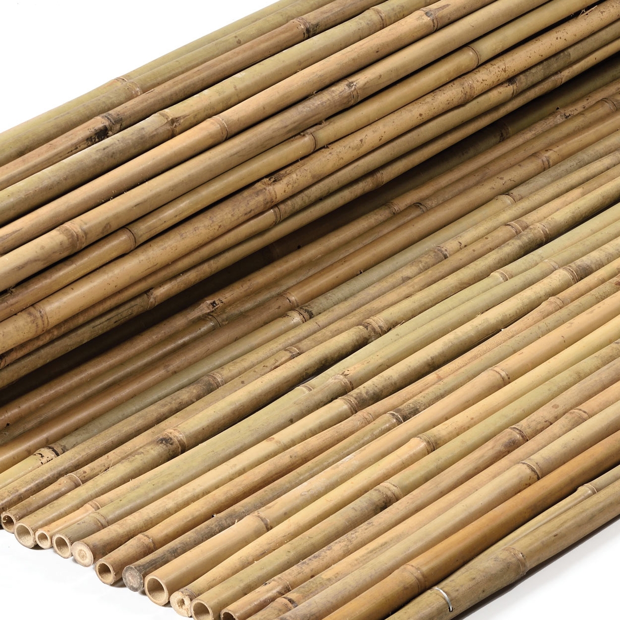 Display product Bamboos | Tii Bamboo 16-28mm from manufacturer Caneplexus