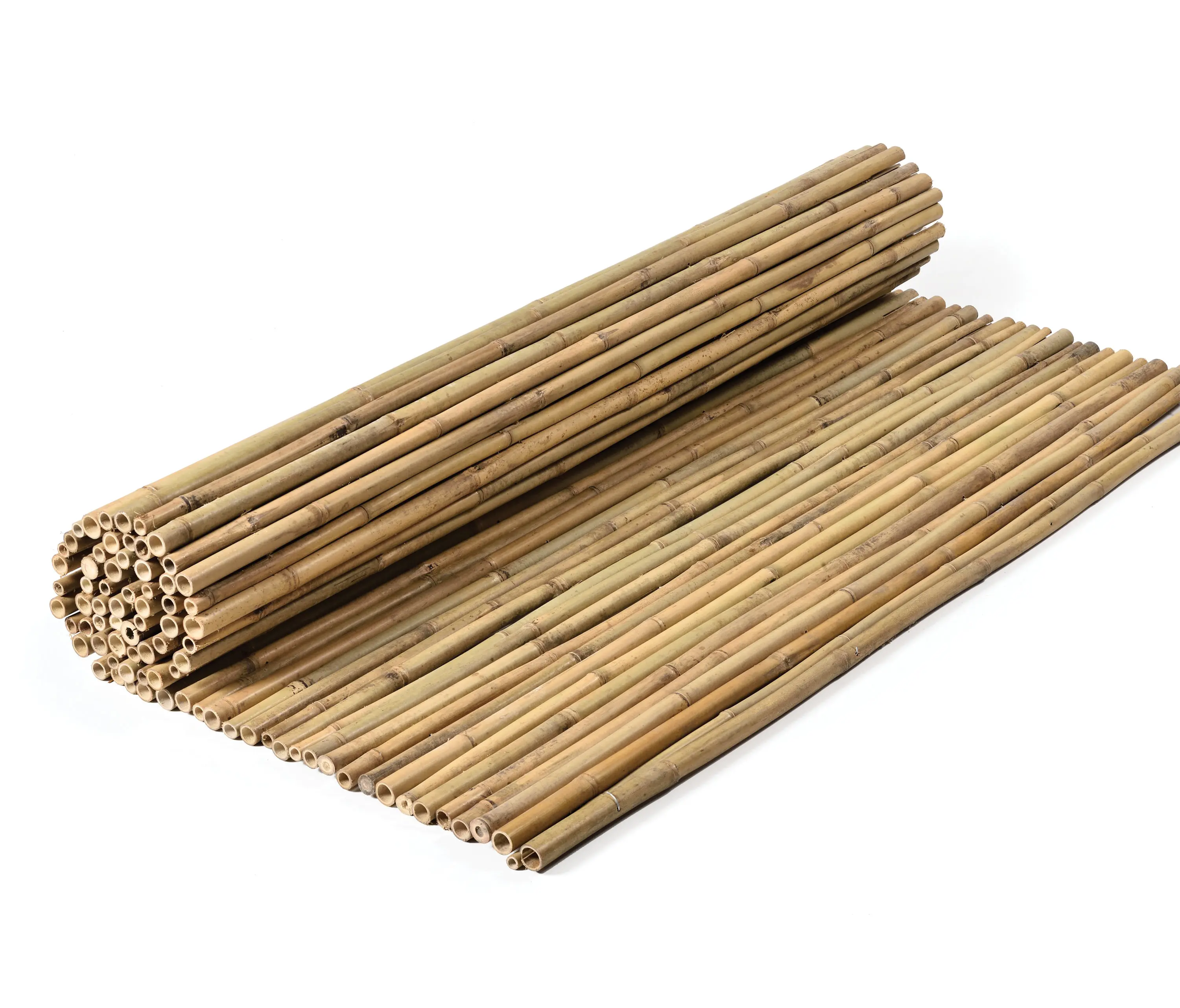 Caneplexus - Bamboos | Tii Bamboo 16-28mm