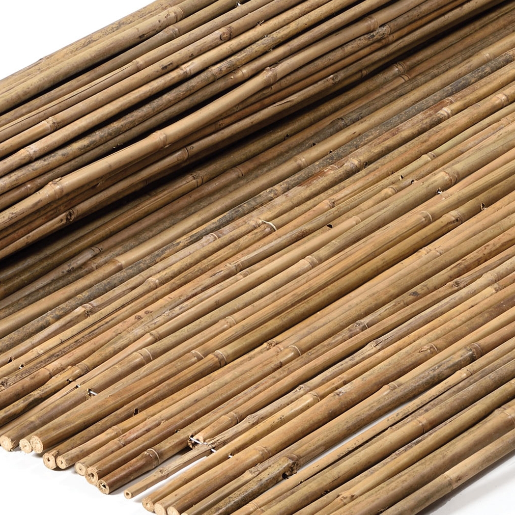 Mostrar el producto Bamboos | Tonkin Bamboo 12-18mm del fabricante Caneplexus