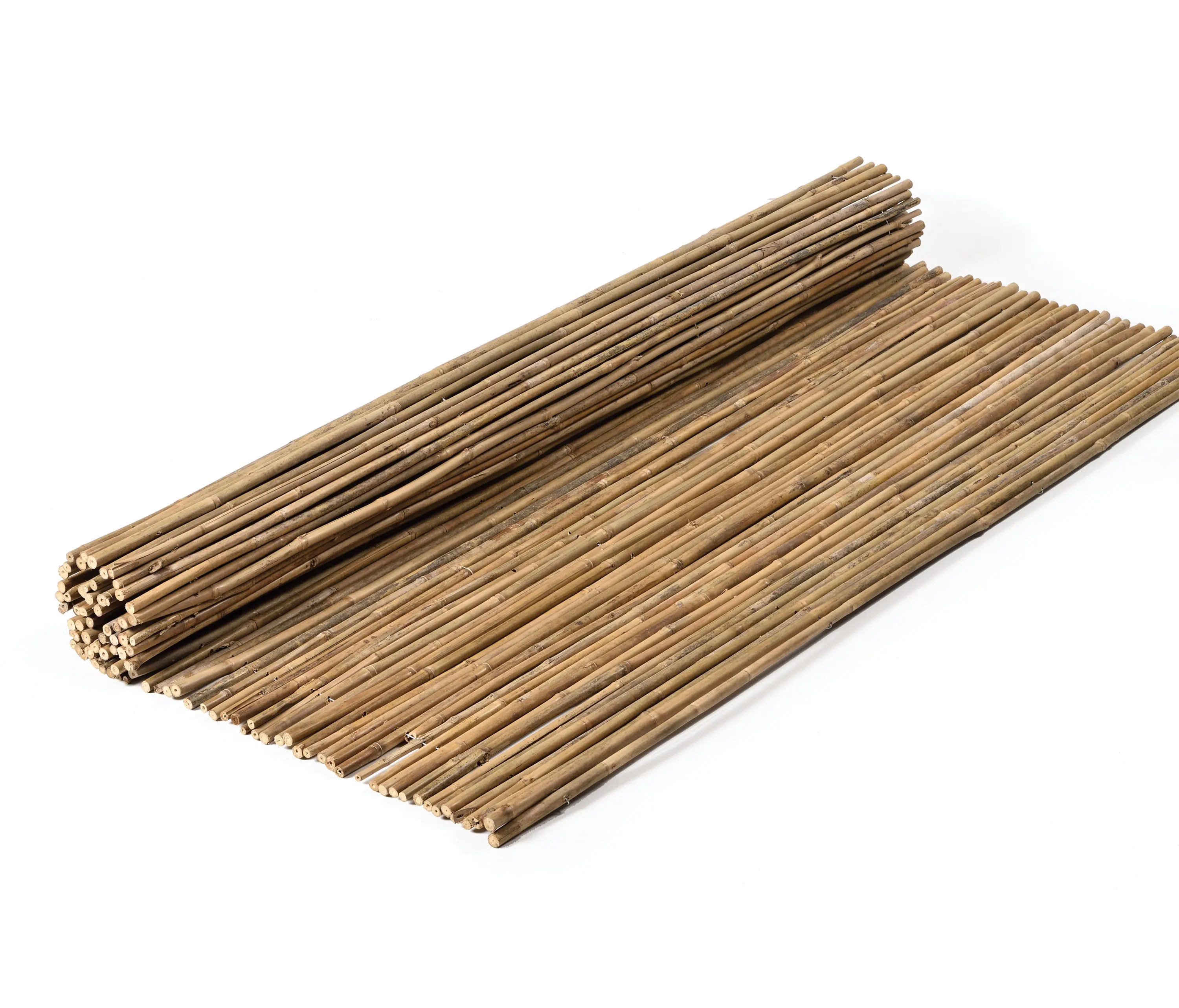 Caneplexus - Bamboos | Tonkin Bamboo 12-18mm