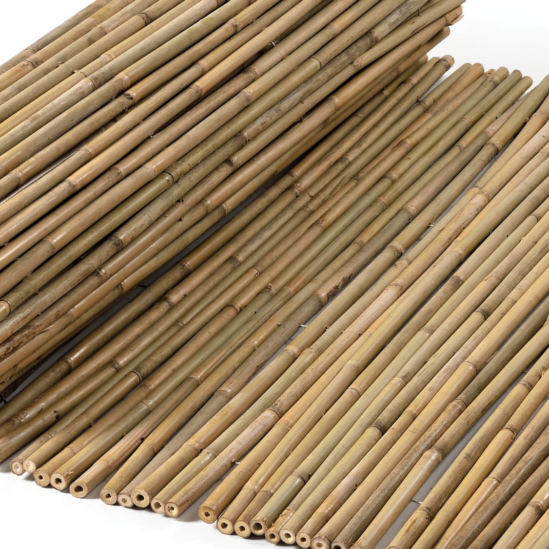 Mostrar el producto Bamboos | Tonkin Bamboo 16-22mm del fabricante Caneplexus