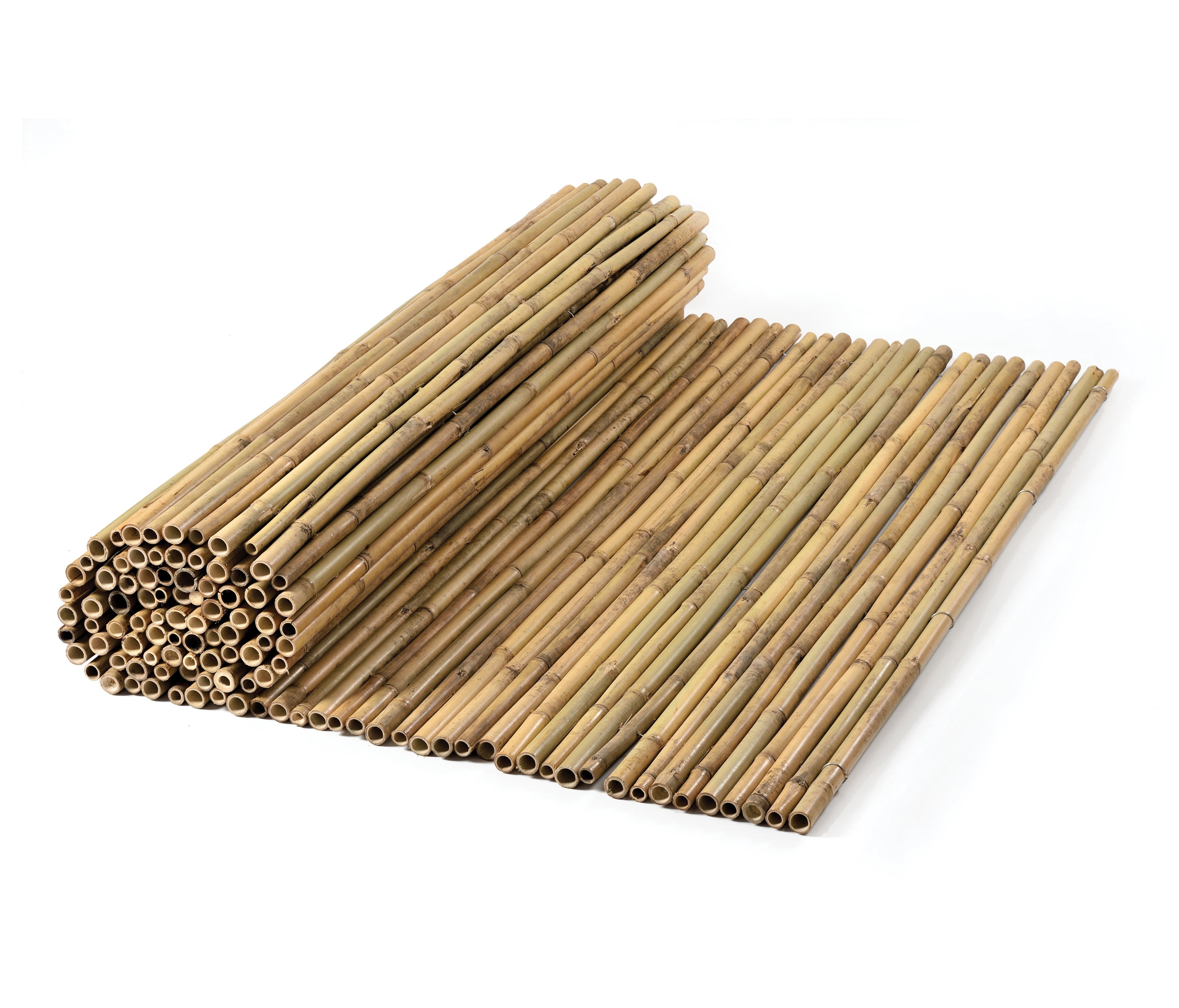 Mostra il prodotto Bamboos | Tonkin Bamboo 24-28mm del produttore Caneplexus