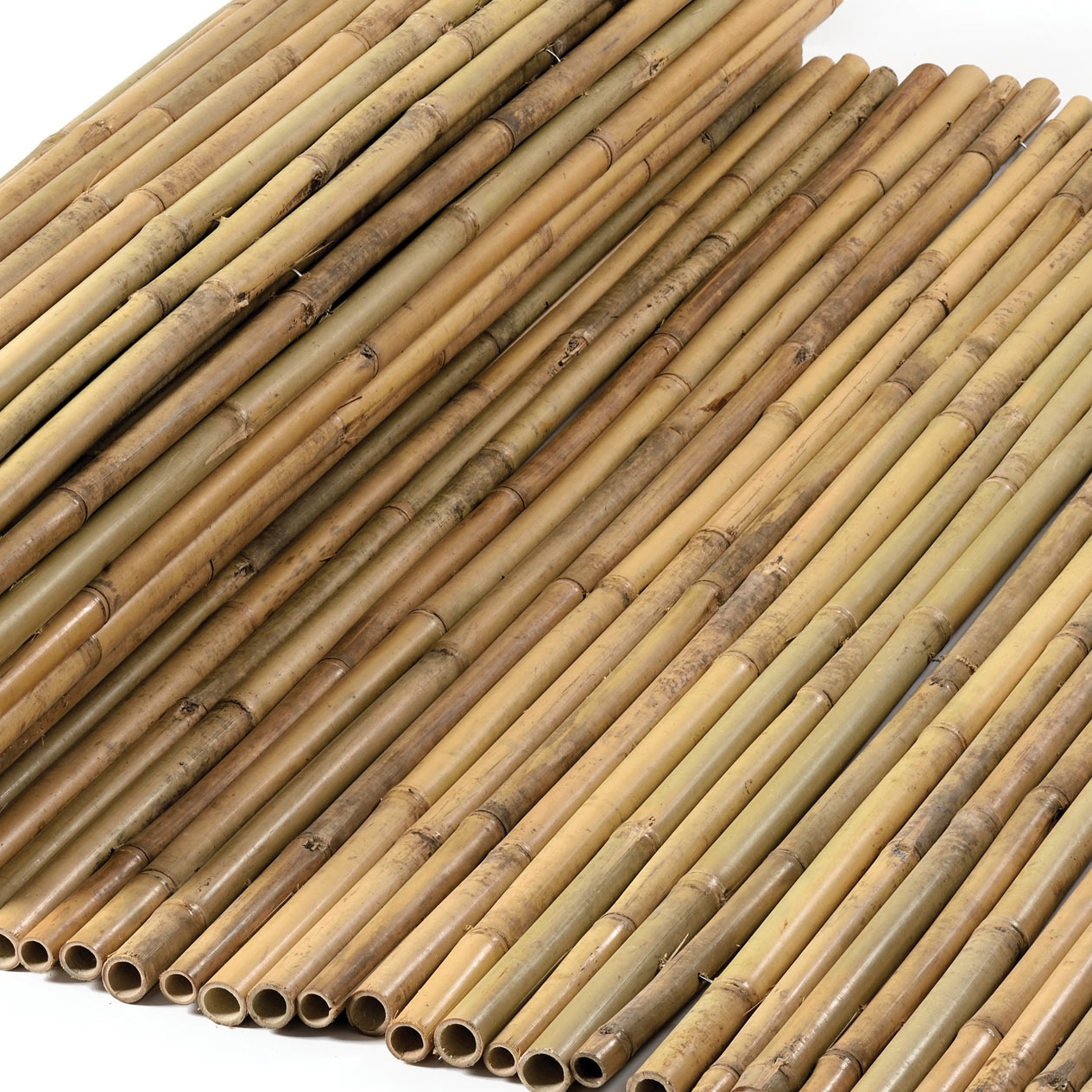 Mostrar el producto Bamboos | Tonkin Bamboo 24-28mm del fabricante Caneplexus