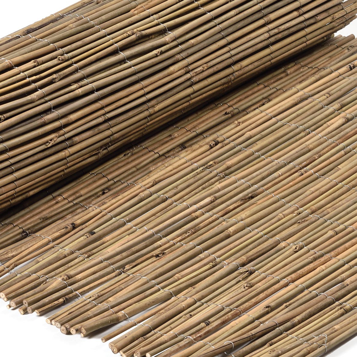 Mostrar el producto Bamboos | Tonkin Bamboo 4-10mm del fabricante Caneplexus