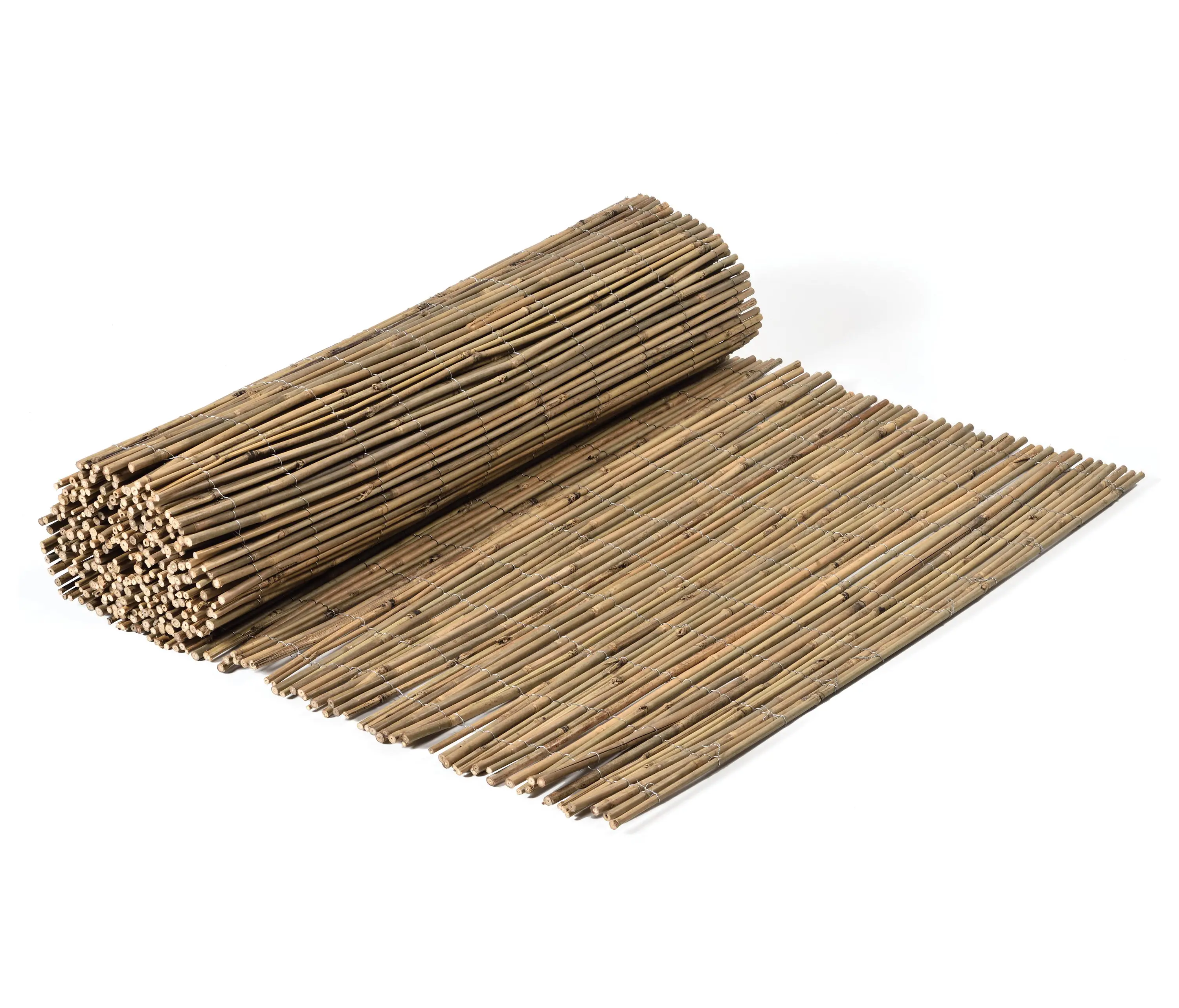 Caneplexus - Bamboos | Tonkin Bamboo 4-10mm