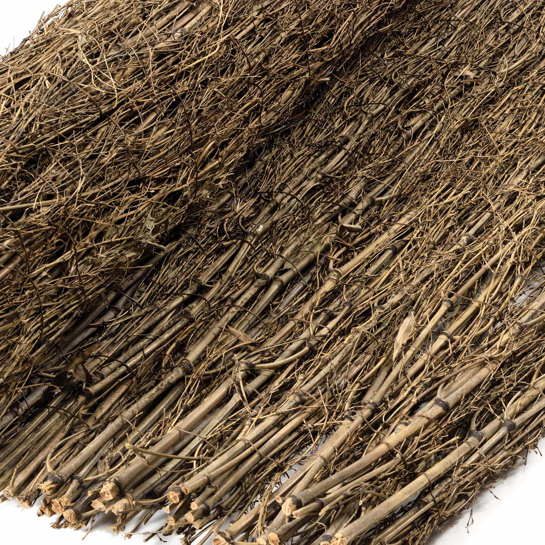 Display product Branches | Bamboo branches from manufacturer Caneplexus