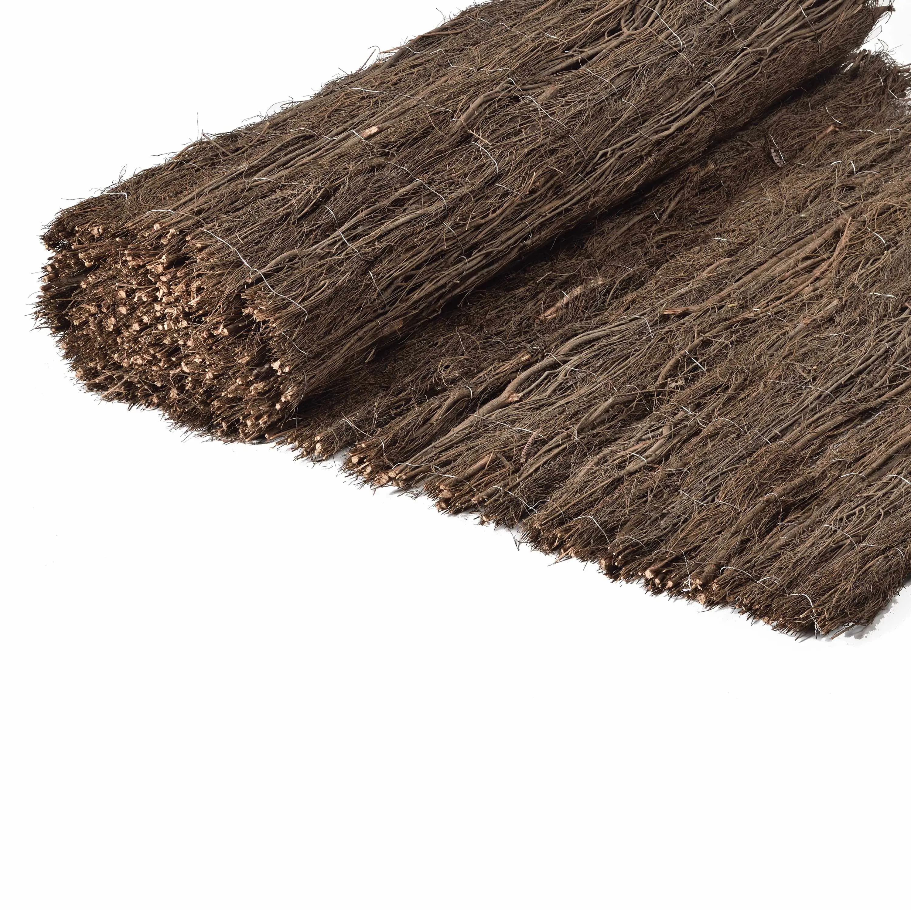 Caneplexus - Branches | Reiki branches