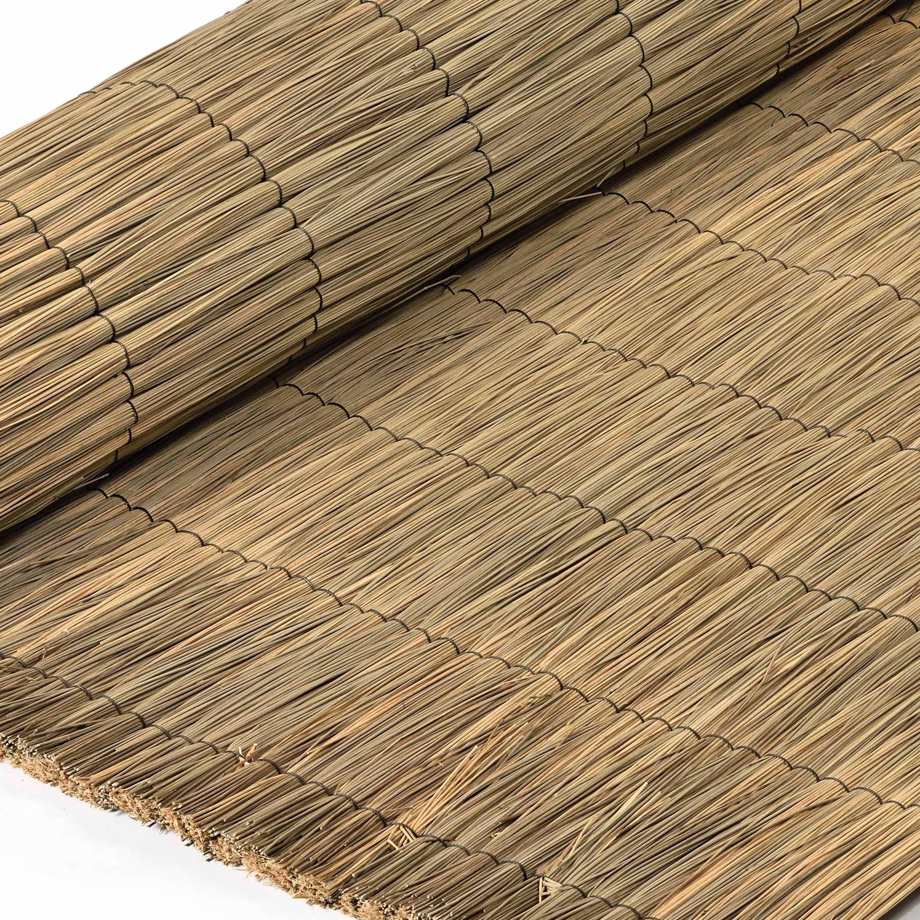 Display product Branches | Thach from manufacturer Caneplexus