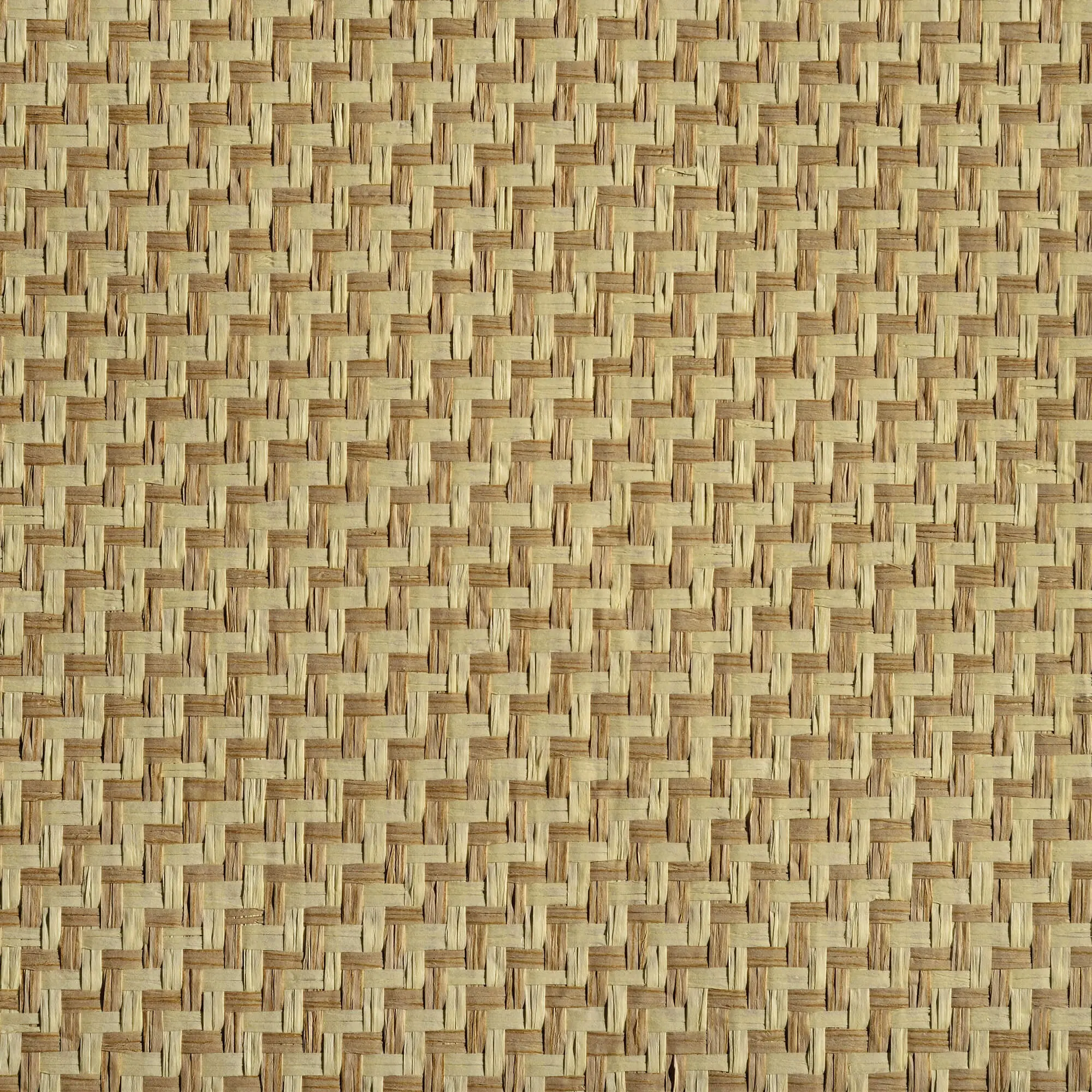 Caneplexus - Wallpapers | W03