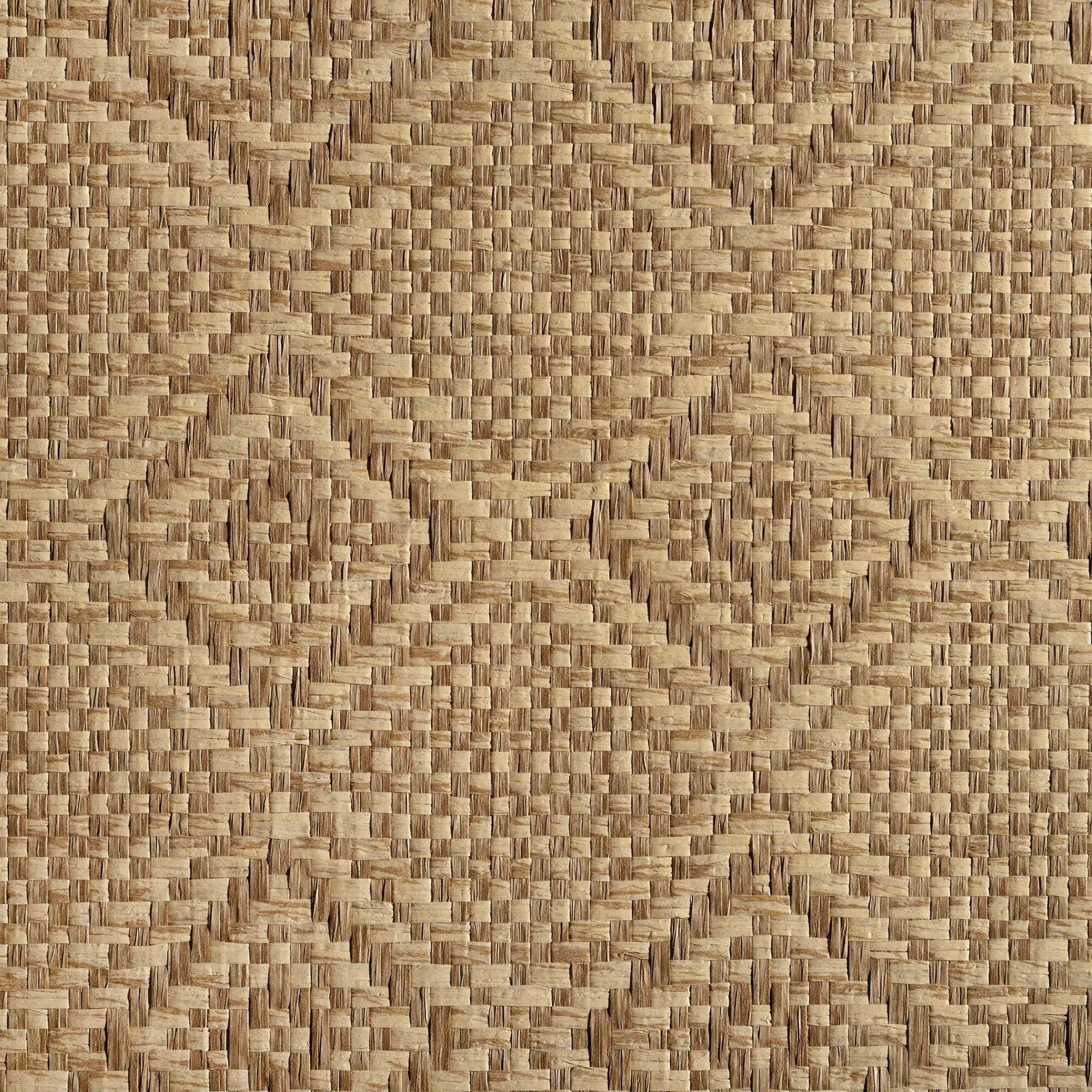 Caneplexus - Wallpapers | W07