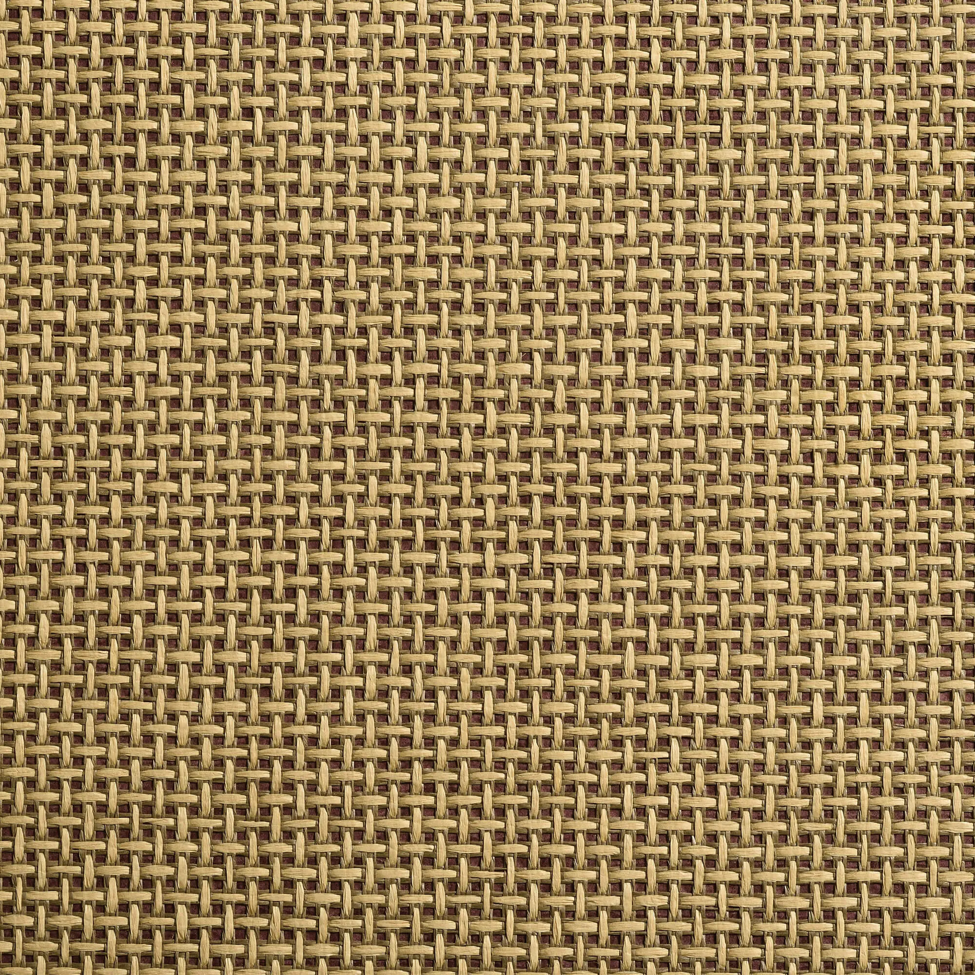 Caneplexus - Wallpapers | W12
