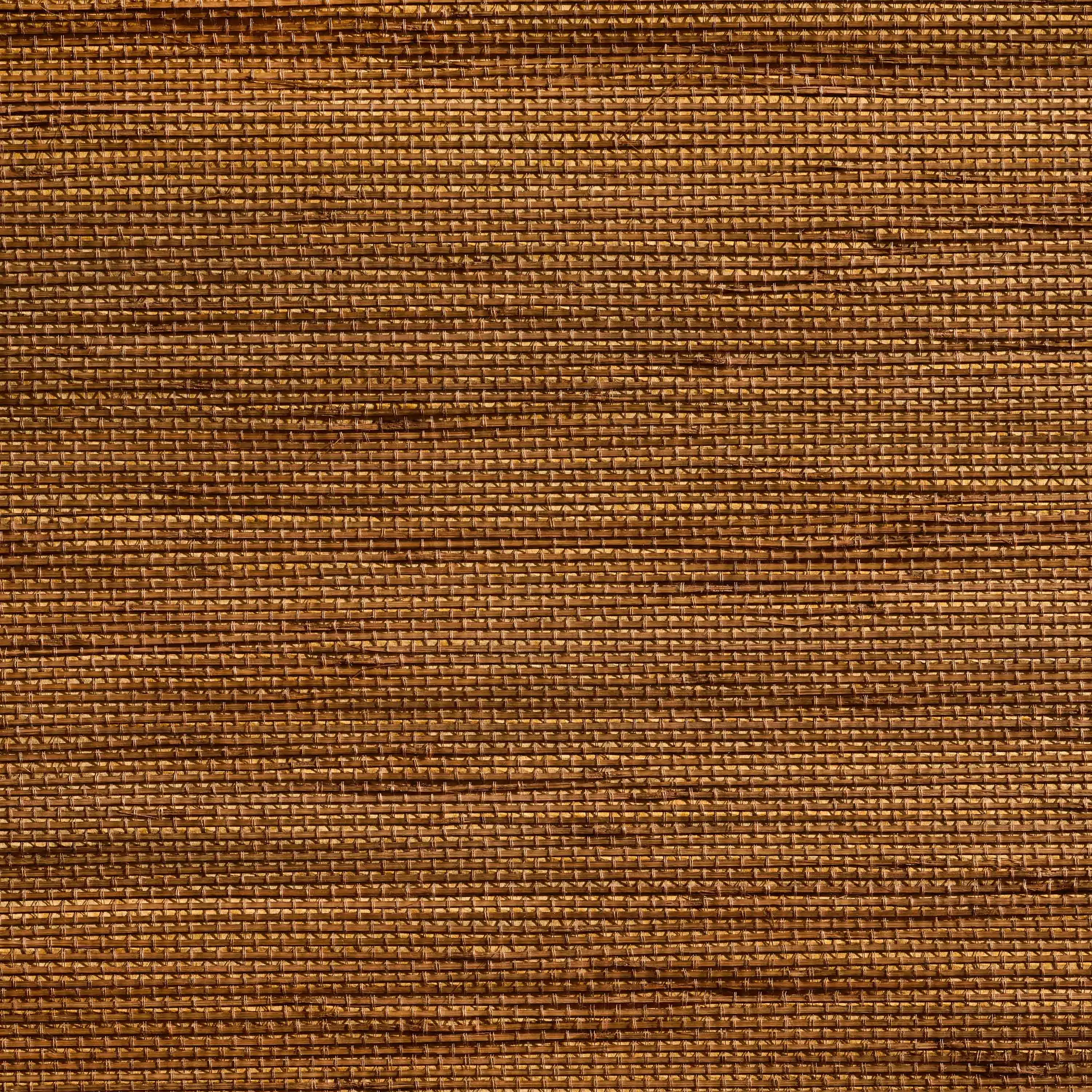 Caneplexus - Wallpapers | W20