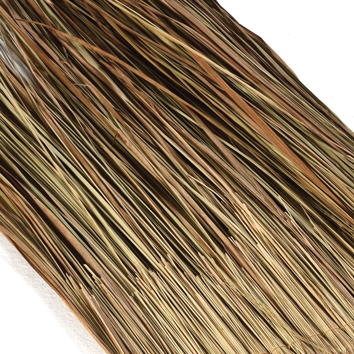 Display product Leaves | Alag from manufacturer Caneplexus