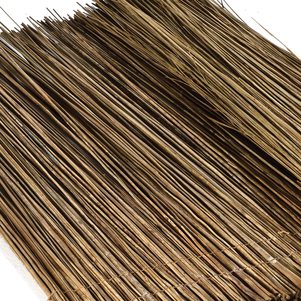 Display product Leaves | Lindi from manufacturer Caneplexus