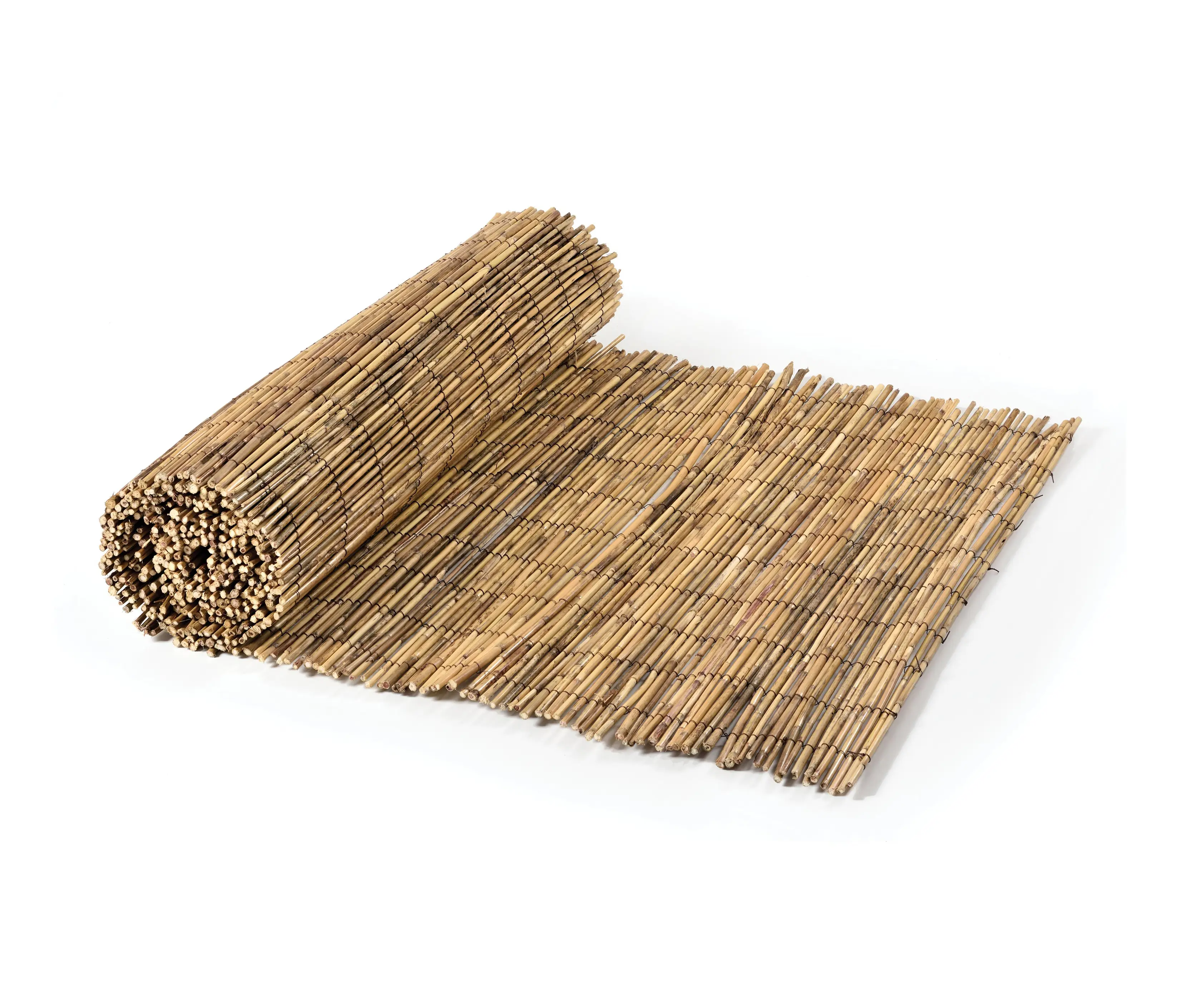 Caneplexus - Reeds | Fern 6-10mm