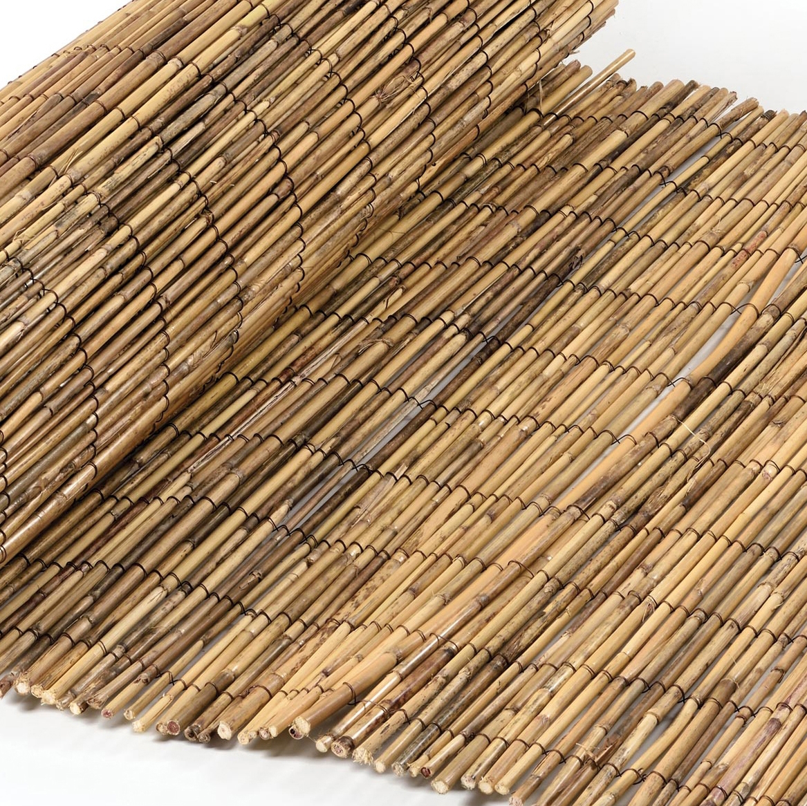 Display product Reeds | Fern 6-10mm from manufacturer Caneplexus