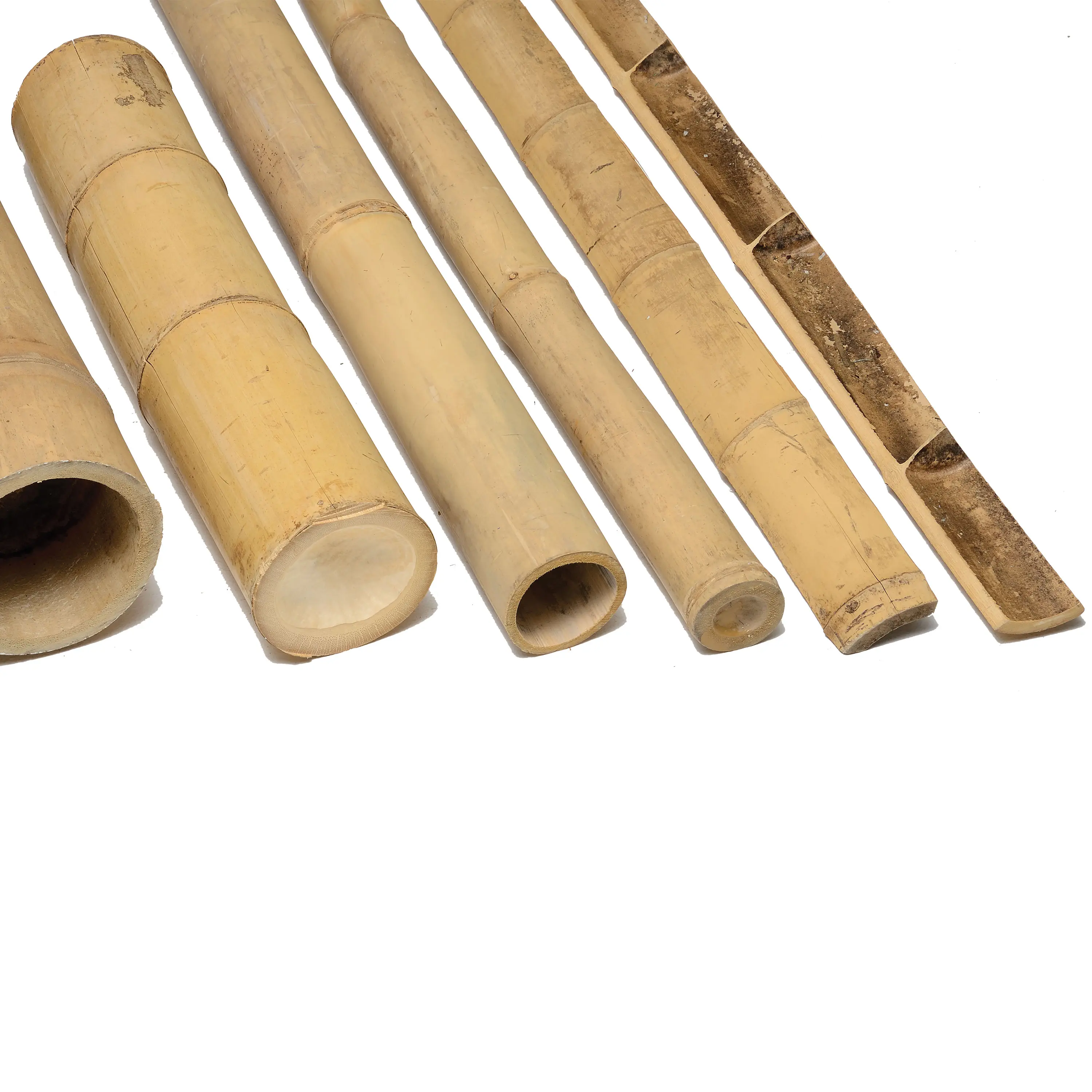 Caneplexus - Poles | Bamboo Duan