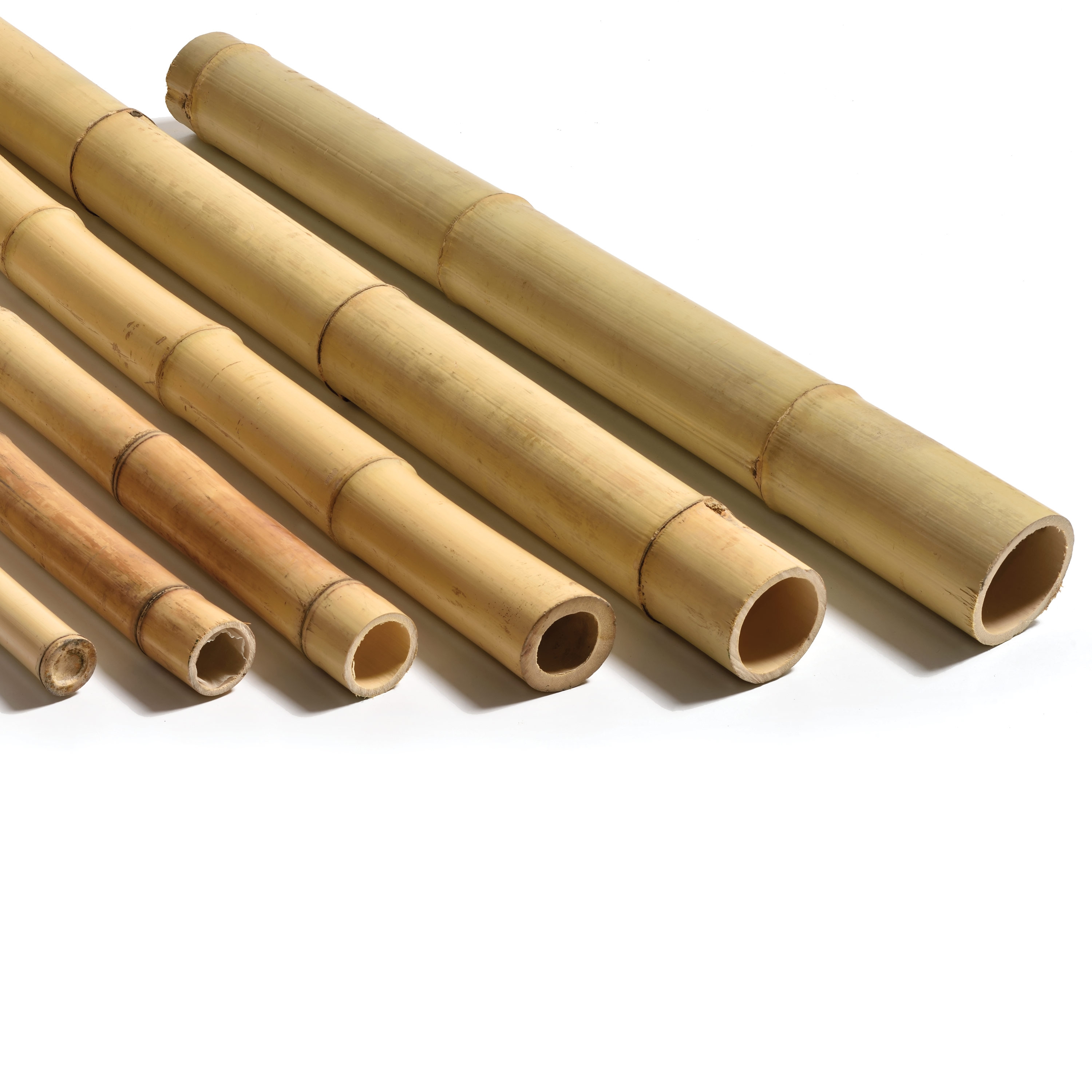 Display product Poles | Bamboo Moso from manufacturer Caneplexus