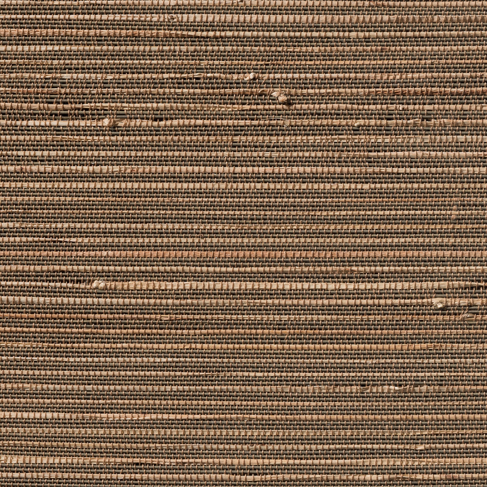 Display product Bamboo Fabrics | BF24 from manufacturer Caneplexus