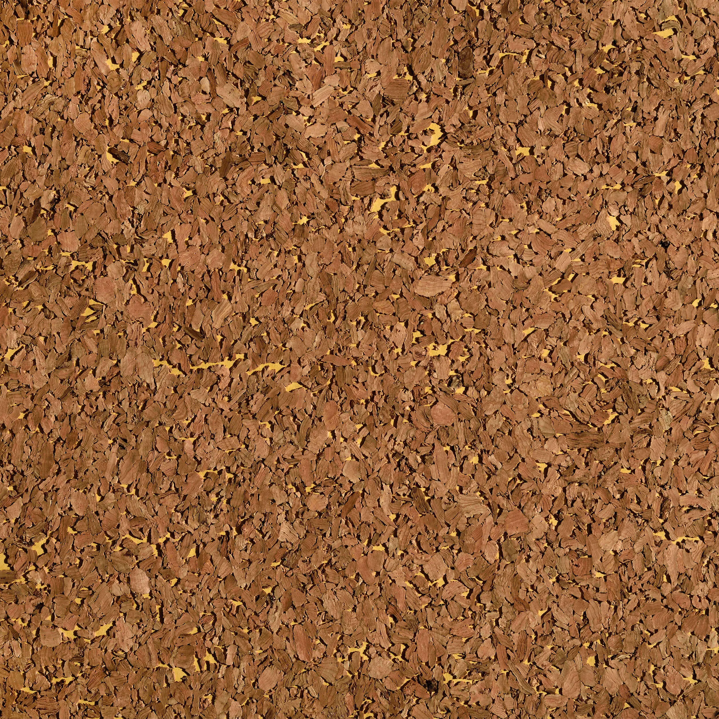 Caneplexus - Wallpapers | W41