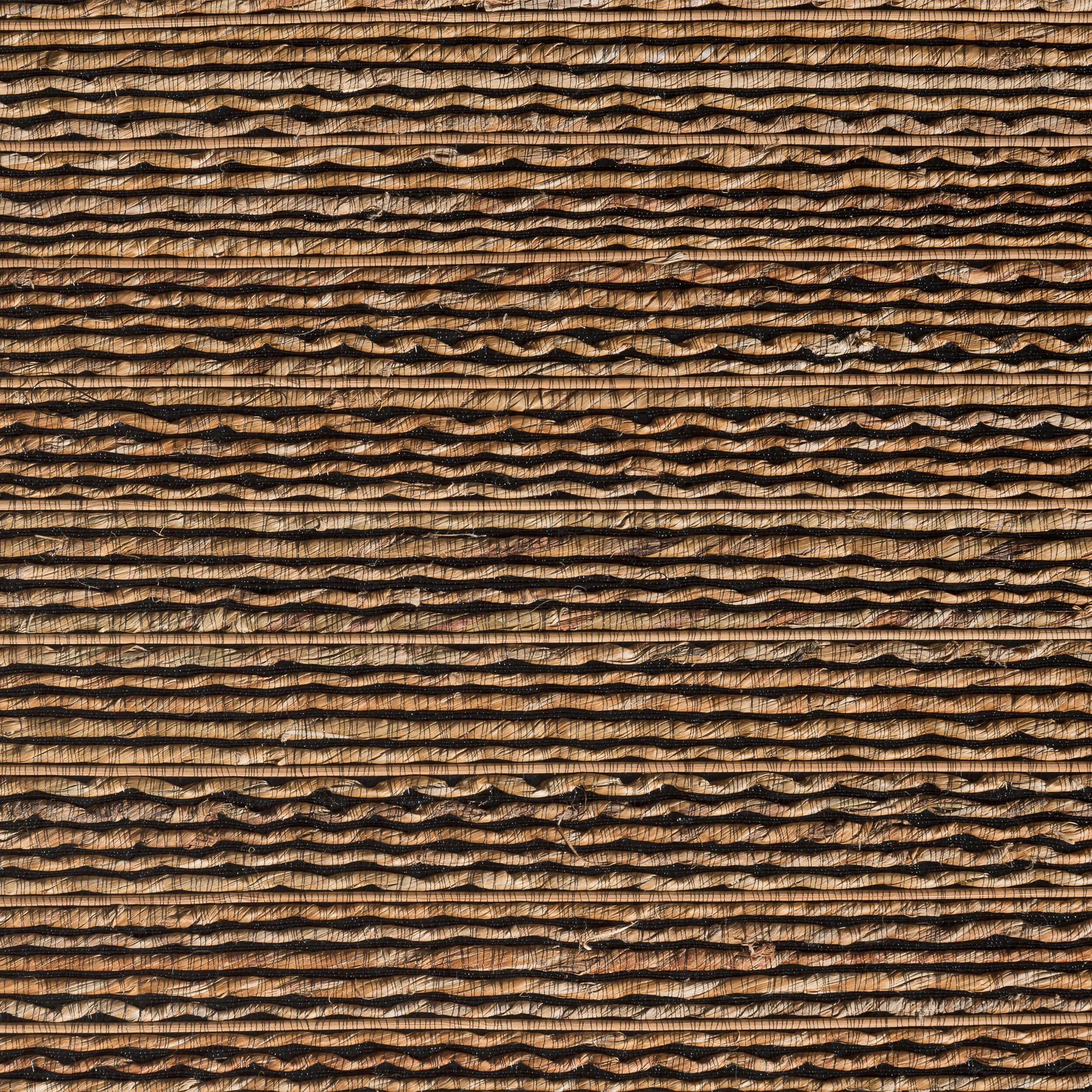 Caneplexus - Wallpapers | W214