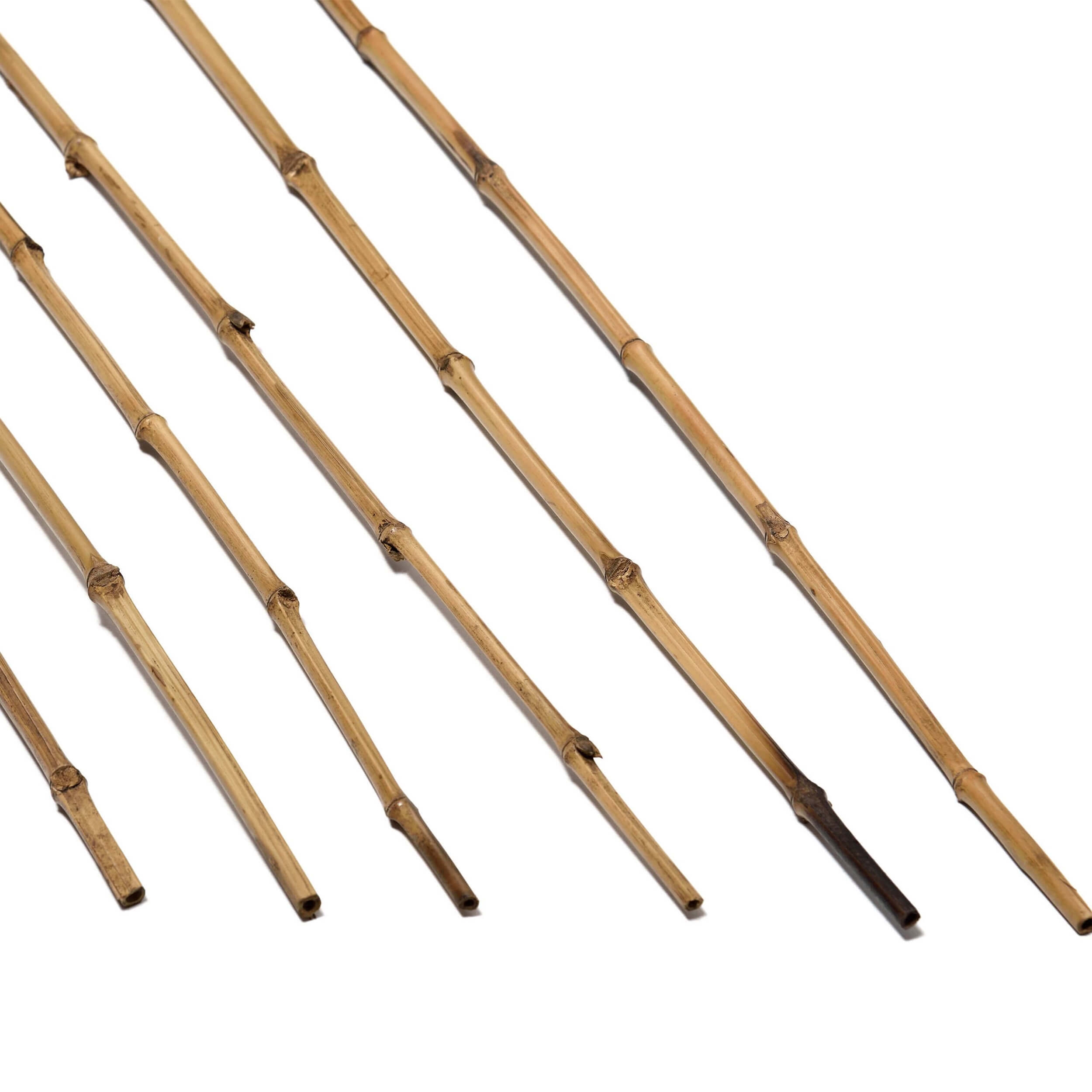 Mostrar el producto Poles | Indonesian Bamboo 10-14mm del fabricante Caneplexus